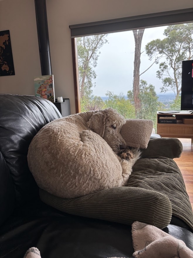 Thuis in de heuvels met uitzicht over de Yarra Valley en de skyline van het CBD, prachtige zonsondergangen en mini-geiten! <1 uur vanaf het stadscentrum