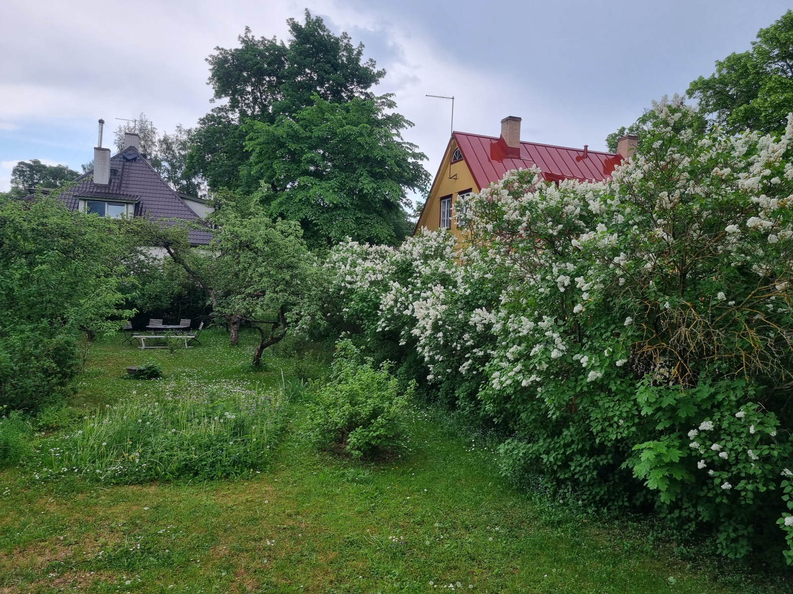 Blick aus dem Schlafzimmerfenster im Mai.