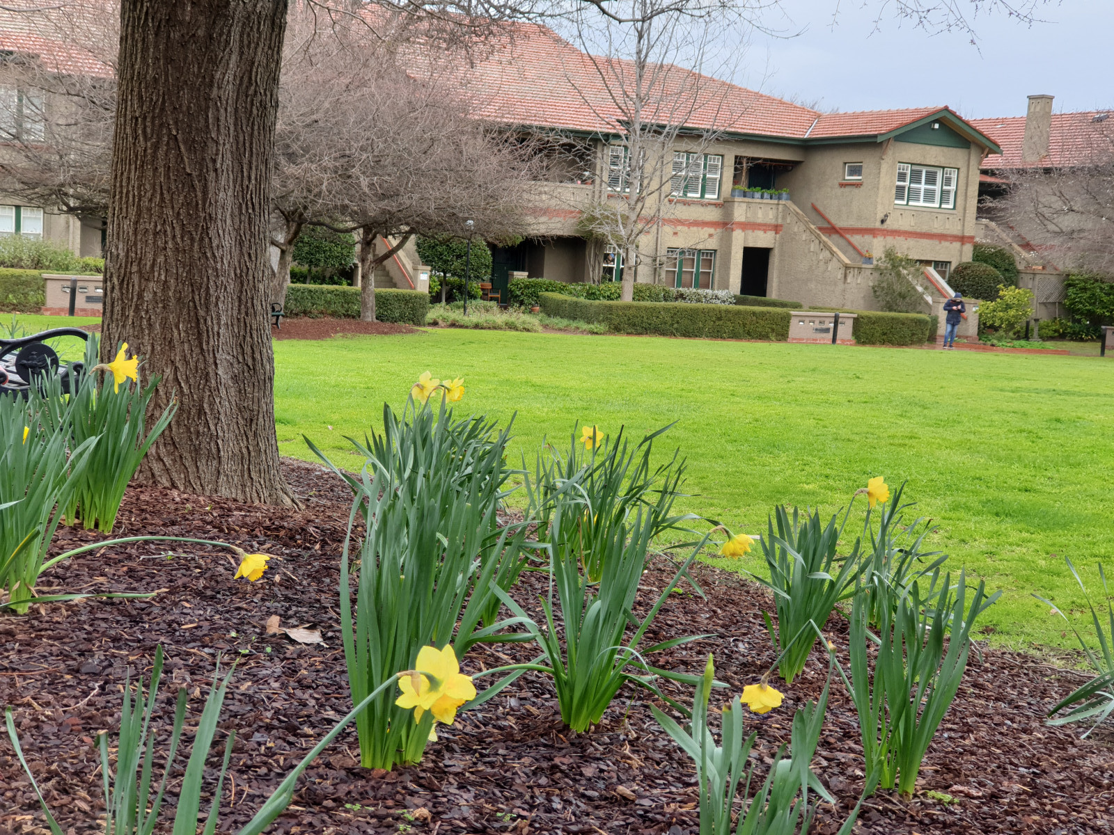 Outside our front door - the Village Green at Ardoch