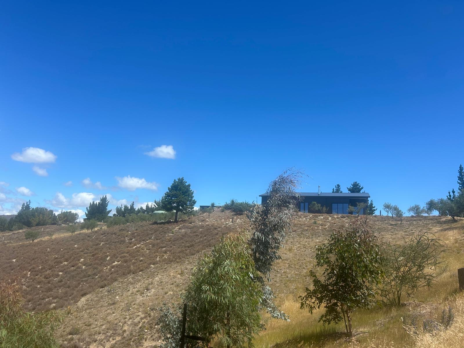 Wilder Thymian, Eukalyptus und ein Olivenhain führen Sie die lange, kurvenreiche Auffahrt hinauf zu ...