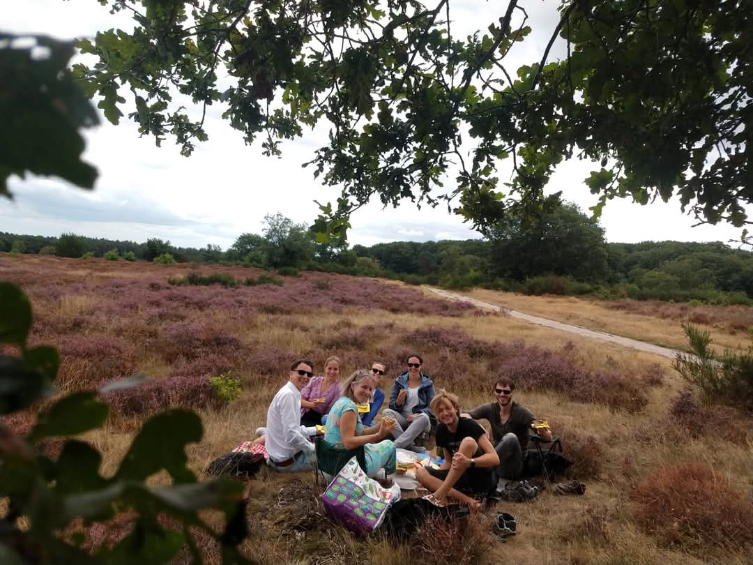 Hoorneboegse Heide, Dutch heather/moorlands perfect for a picnick (10 minute walk)