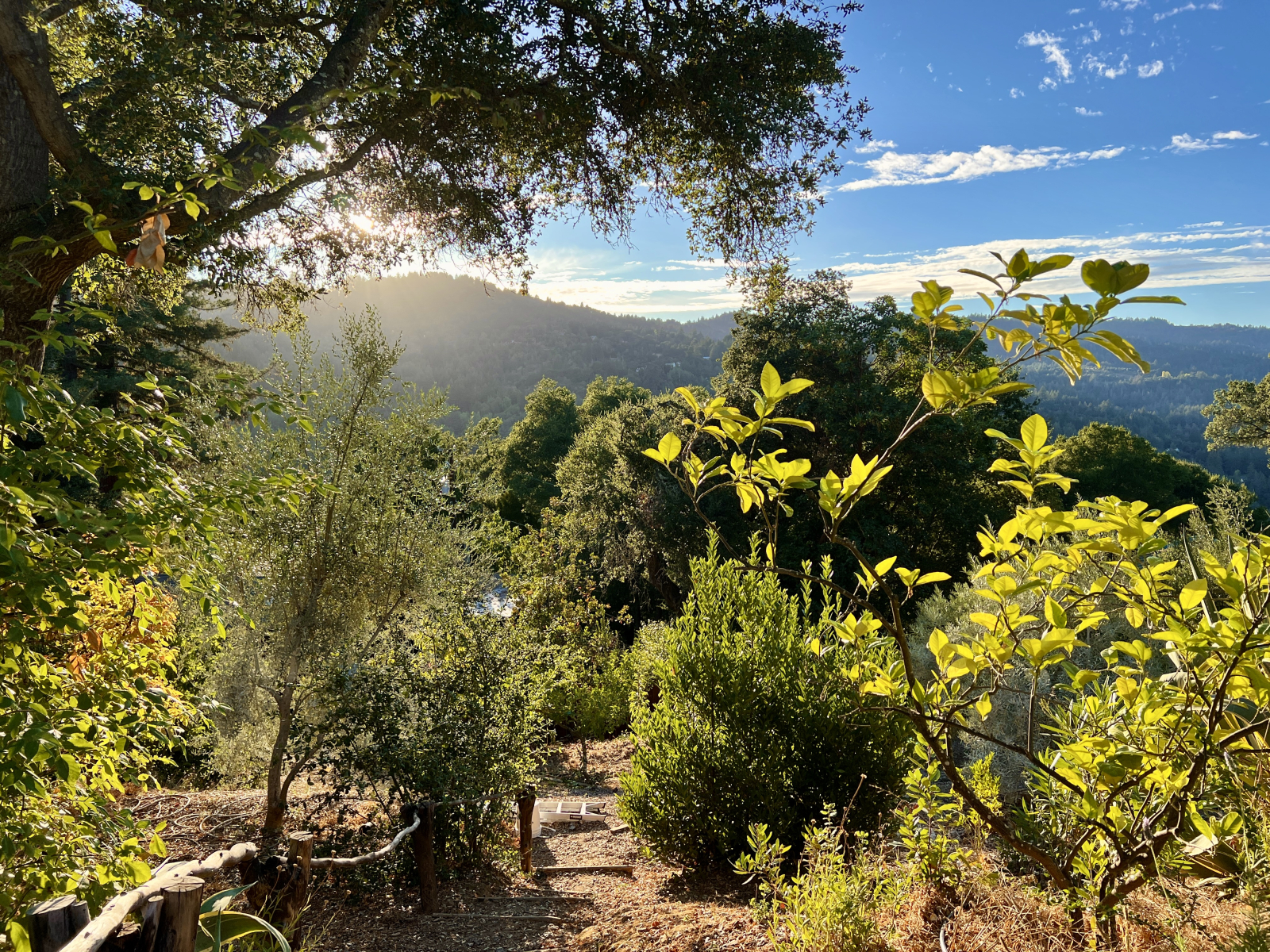 Kijkend langs de trappen naar de boomgaard. Afhankelijk van wanneer je komt, zal er waarschijnlijk f ...