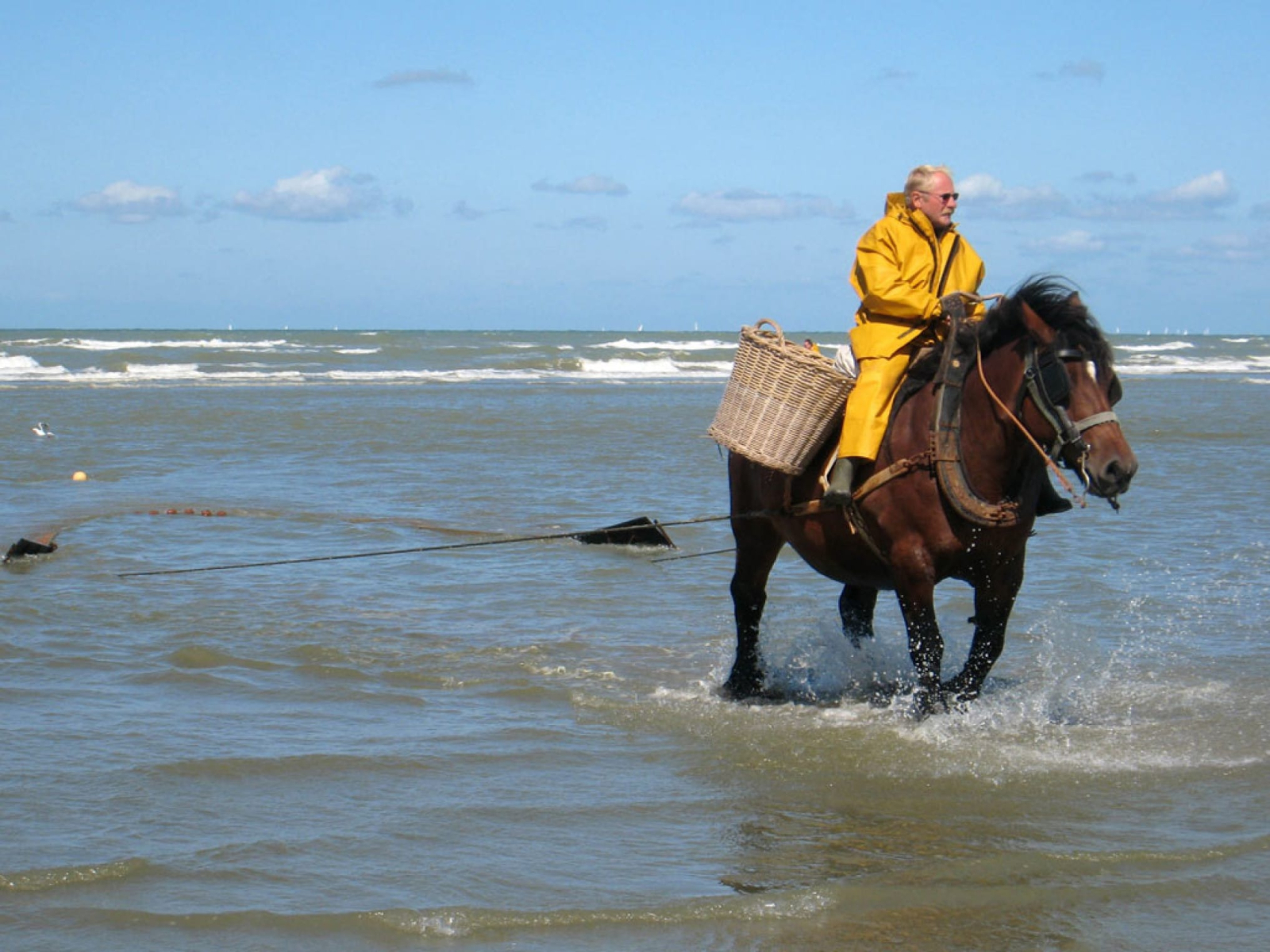 Pesca de gambas a caballo en Oostduinkerke.
Patrimonio Cultural Inmaterial de la UNESCO.
Que se le ...