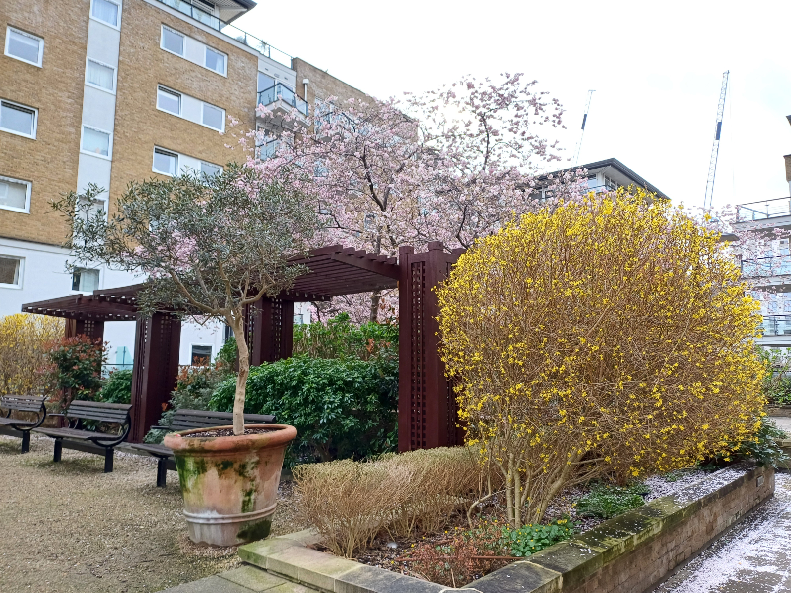 Bellissimo giardino condiviso in primavera