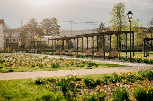Rose park