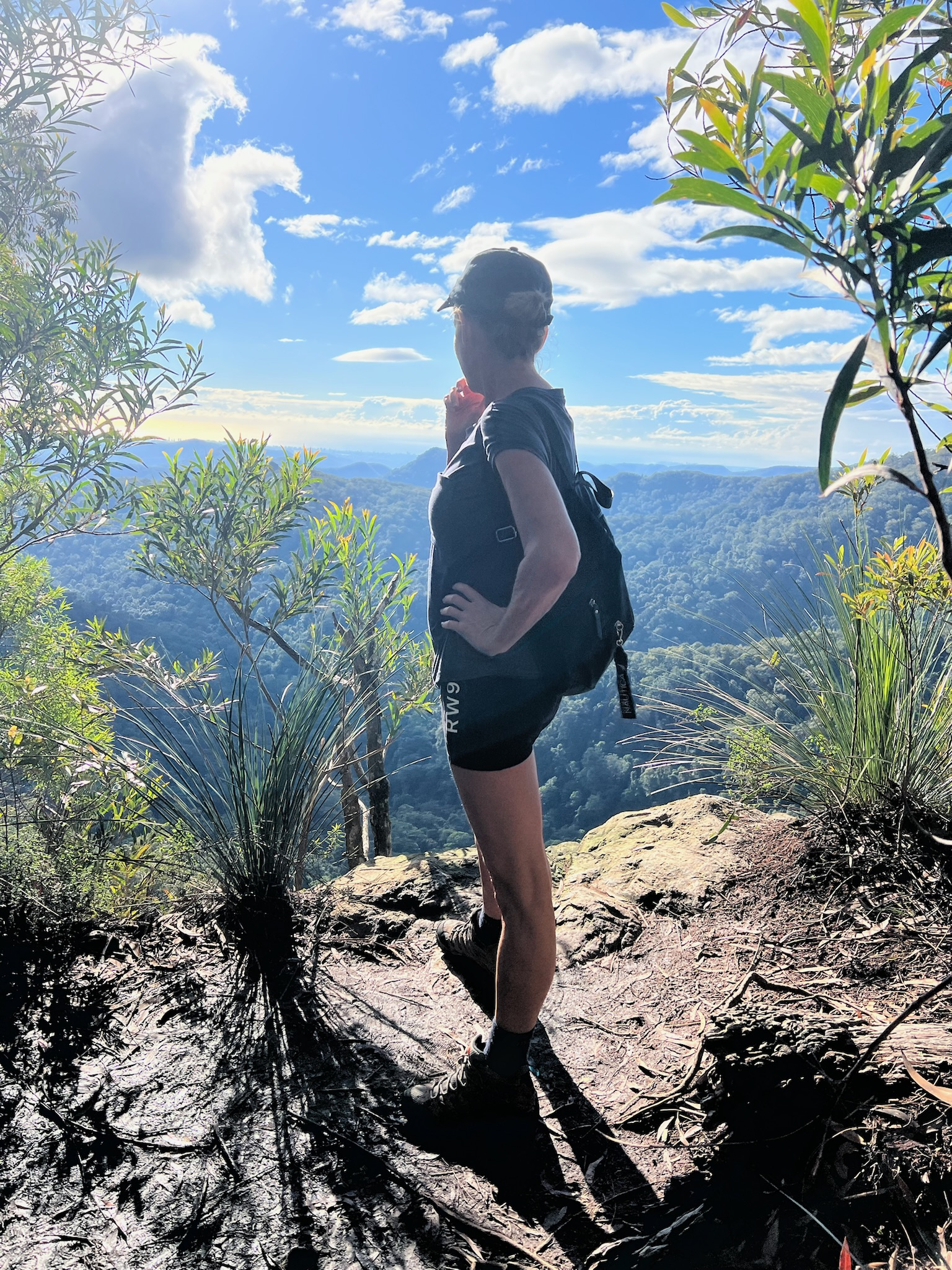 Springbrook National Park