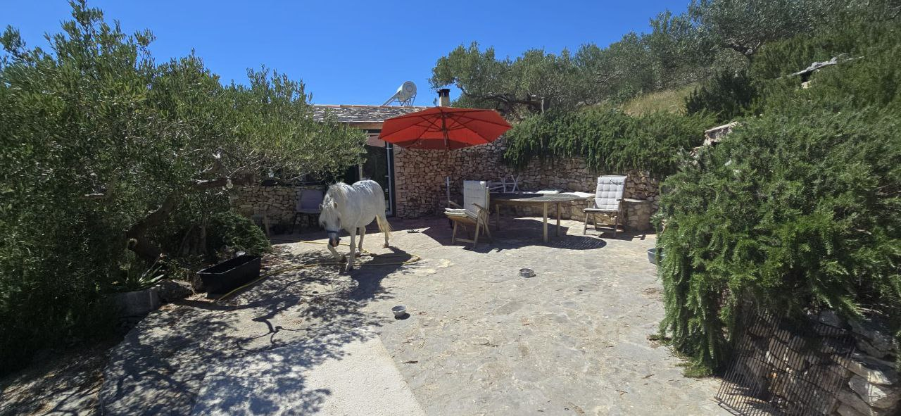 The terrace on the backside of the house. Does not include the horse, he was just there for a visit ...