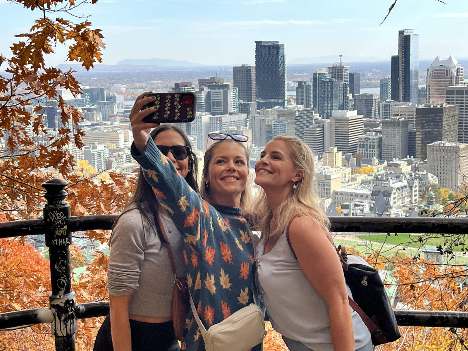 Mount Royal nach Südosten, 25 Minuten leichte/mittelschwere Wanderung von Ihrem Platz entfernt.