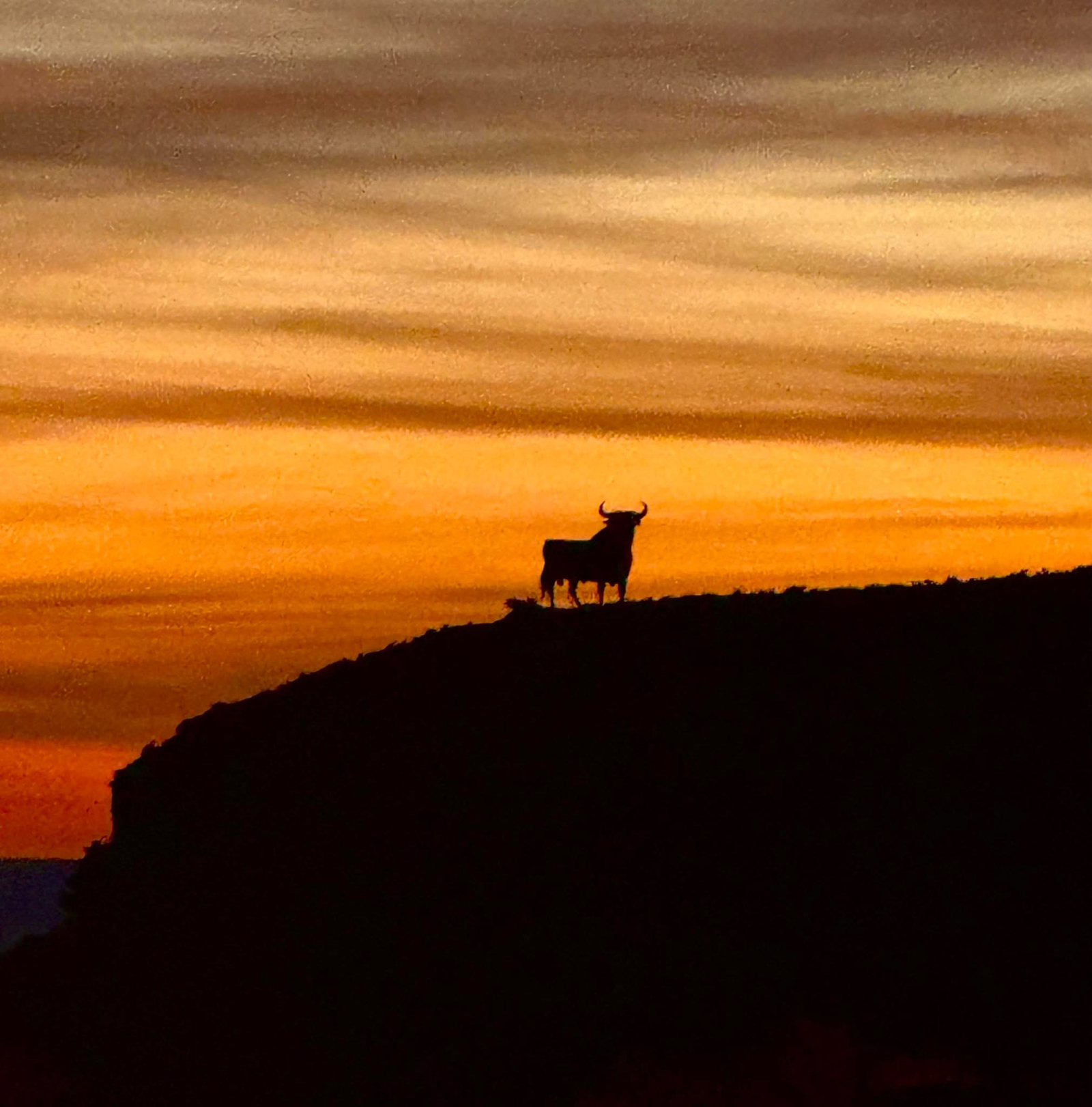 This iconic Osborne bull can be seen from the pool terrace.