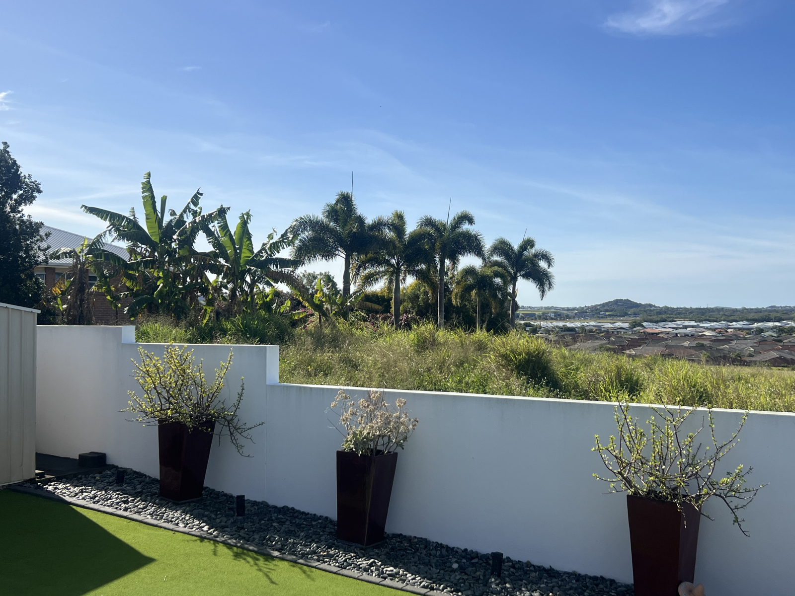 View from back patio.