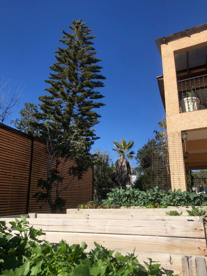 Casa per 12 persone a Guanaqueros, piscina, a pochi passi dalla spiaggia e centro gastronomico