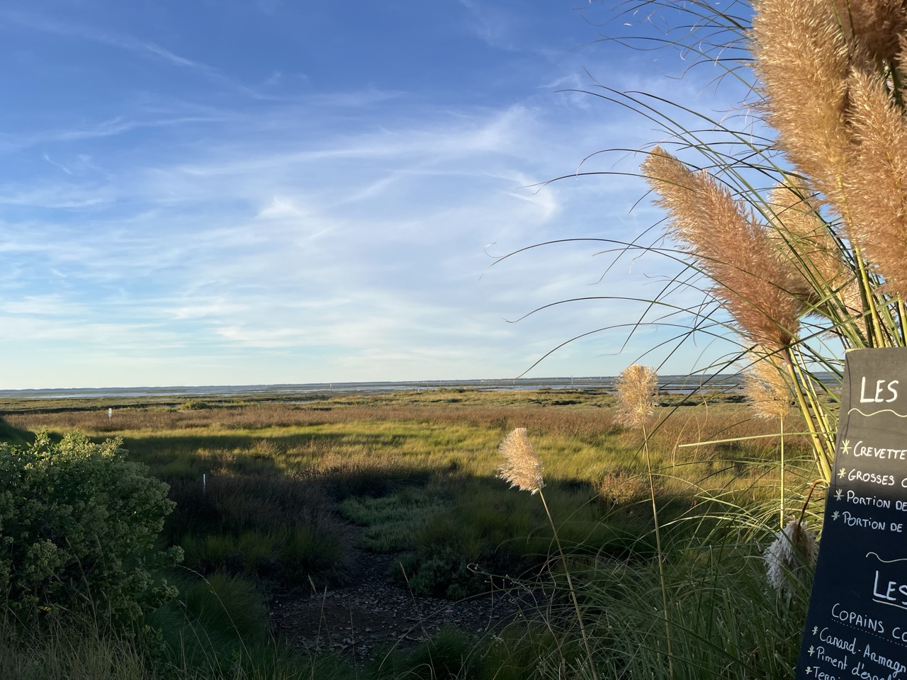The bottom of the basin, Teich Natural Park, wild and sublime