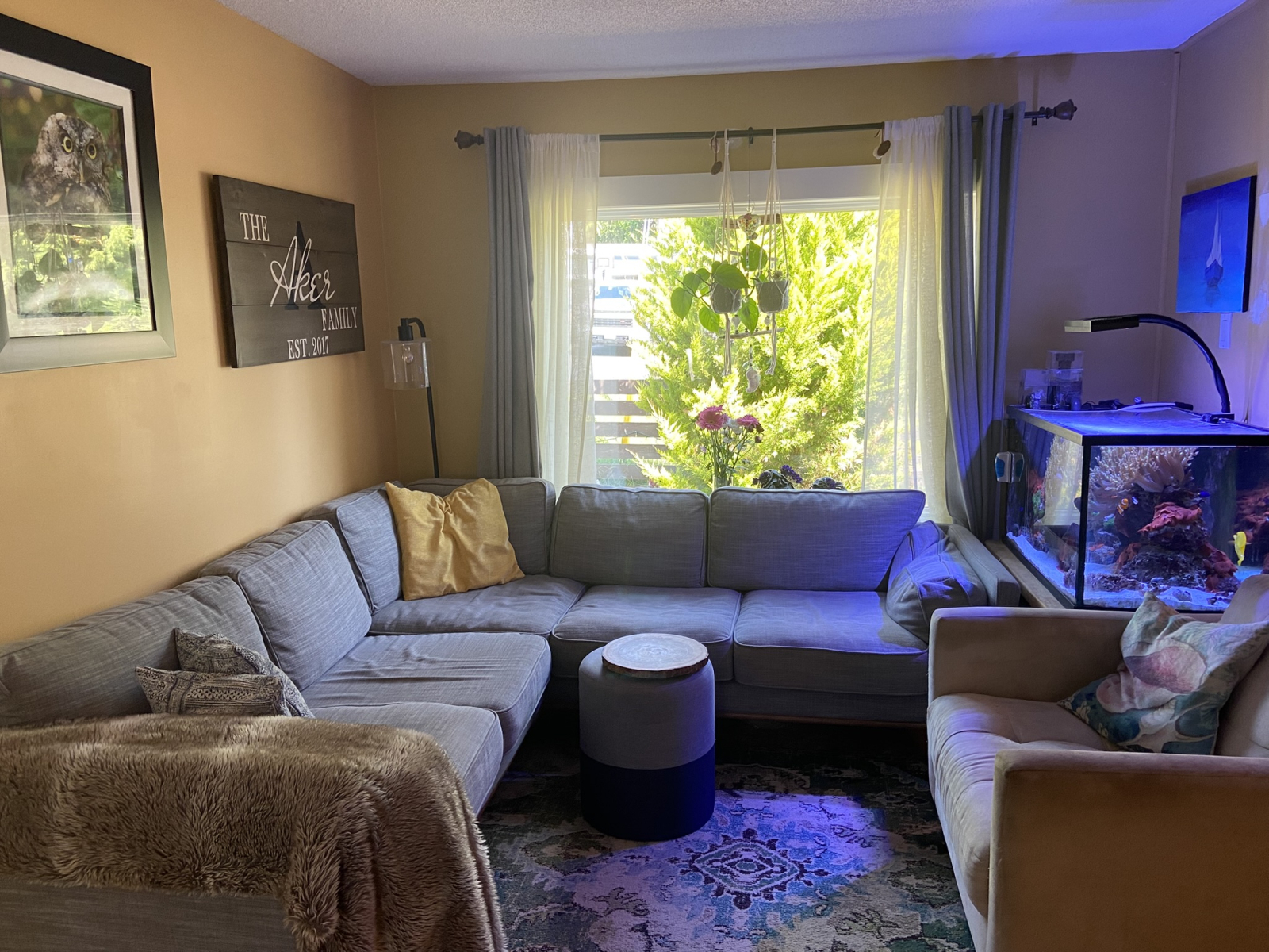 Cozy seating area with salt water fish tank (low maintenance)