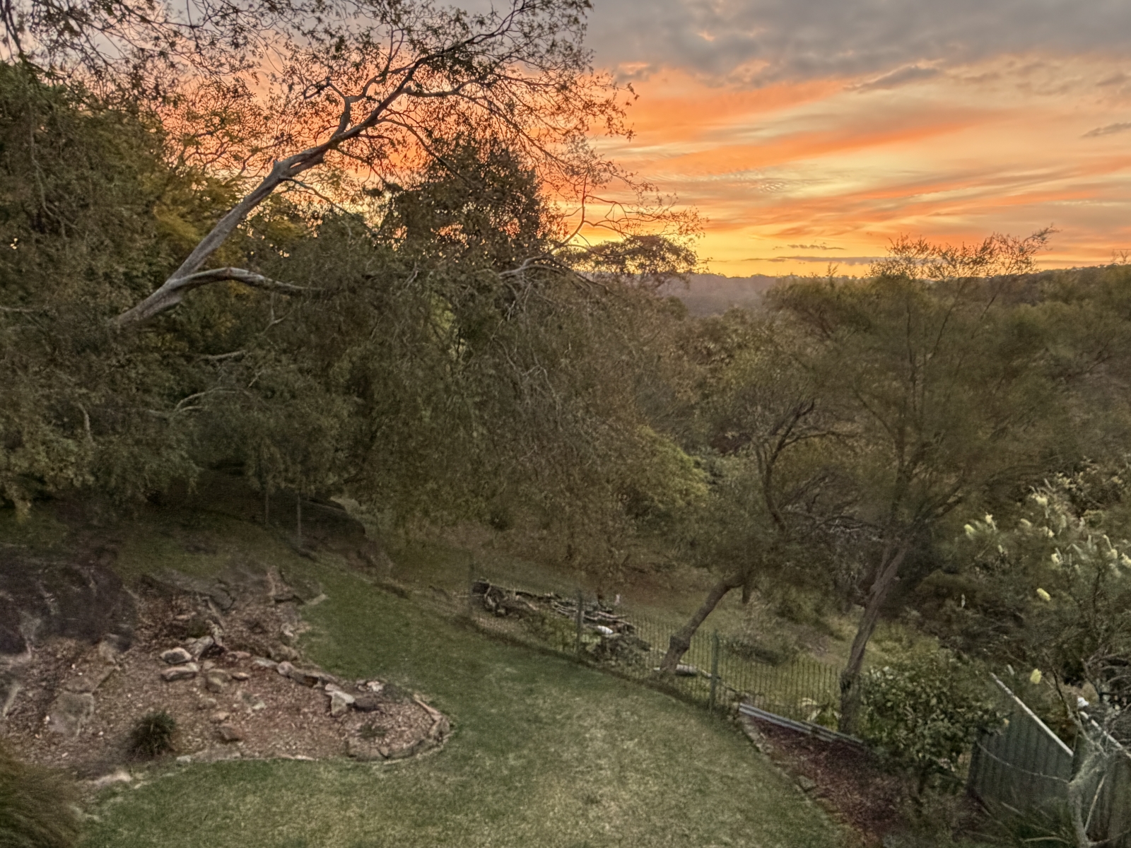 Sonnenuntergangsblick über die Sassafras-Schlucht vom hinteren Deck aus