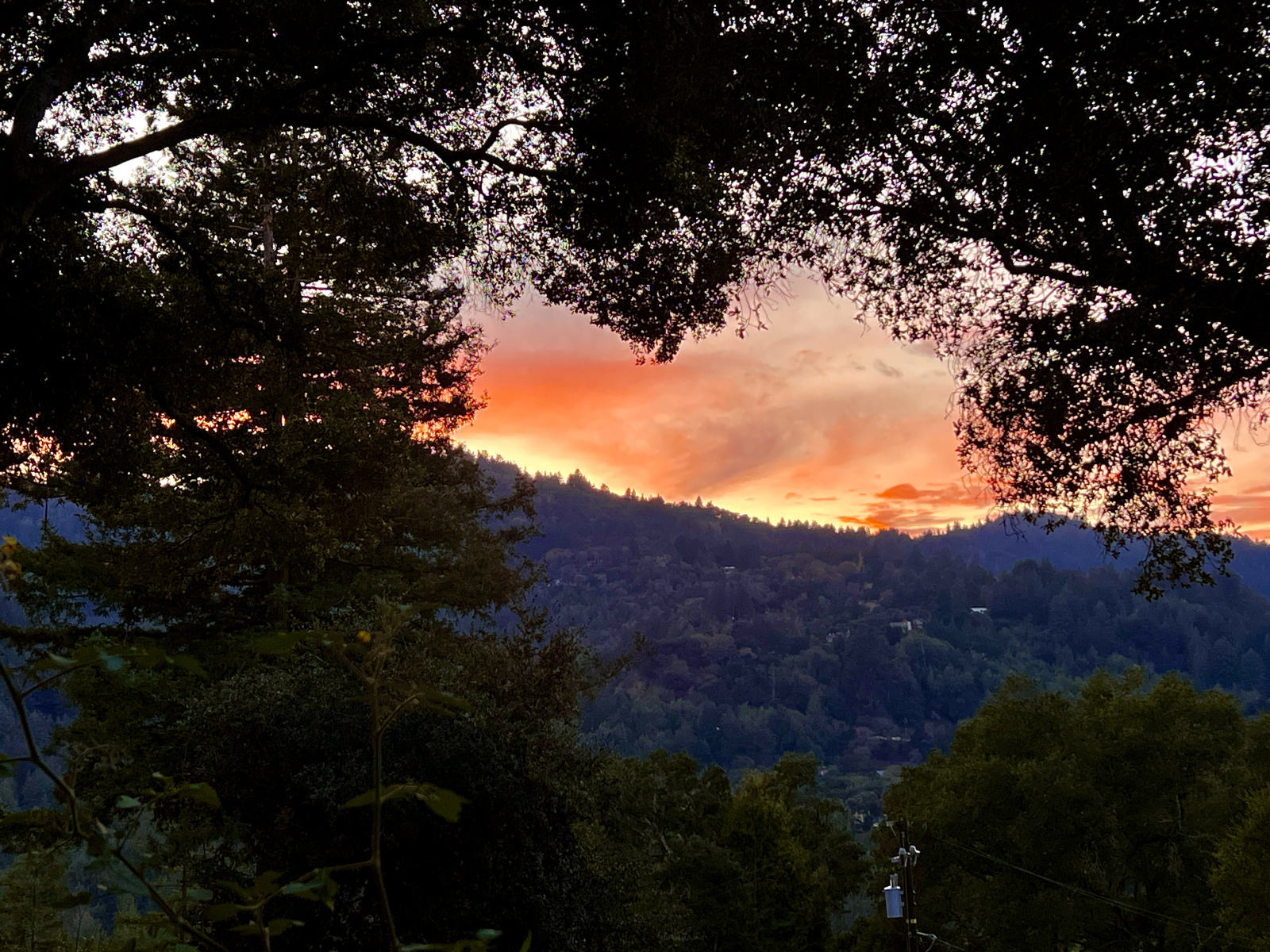 We krijgen niet vaak spectaculaire zonsondergangen, maar als we dat doen, doen de foto's ze geen rec ...