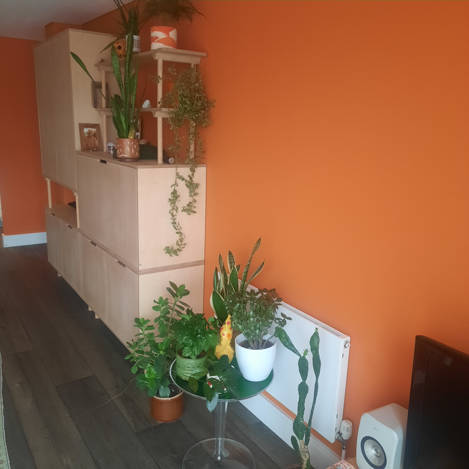 Temos muitas plantas verdes. Por favor, regue-os ocasionalmente.