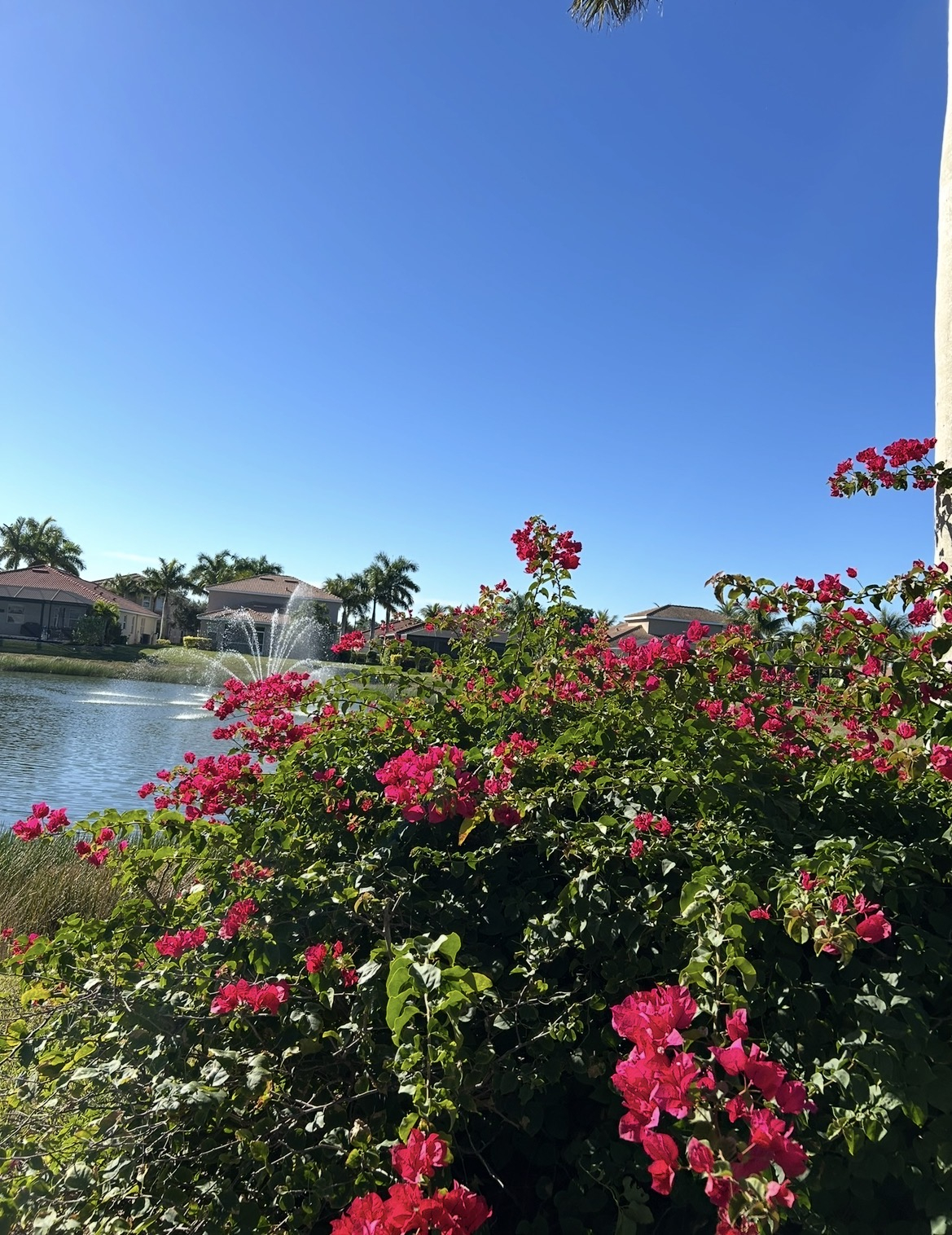 Una casa acogedora y espaciosa en el suroeste de Florida con gimnasio, piscina comunitaria y muchos senderos para caminar. Algunas de las mejores playas de Florida están a solo 40 minutos.
