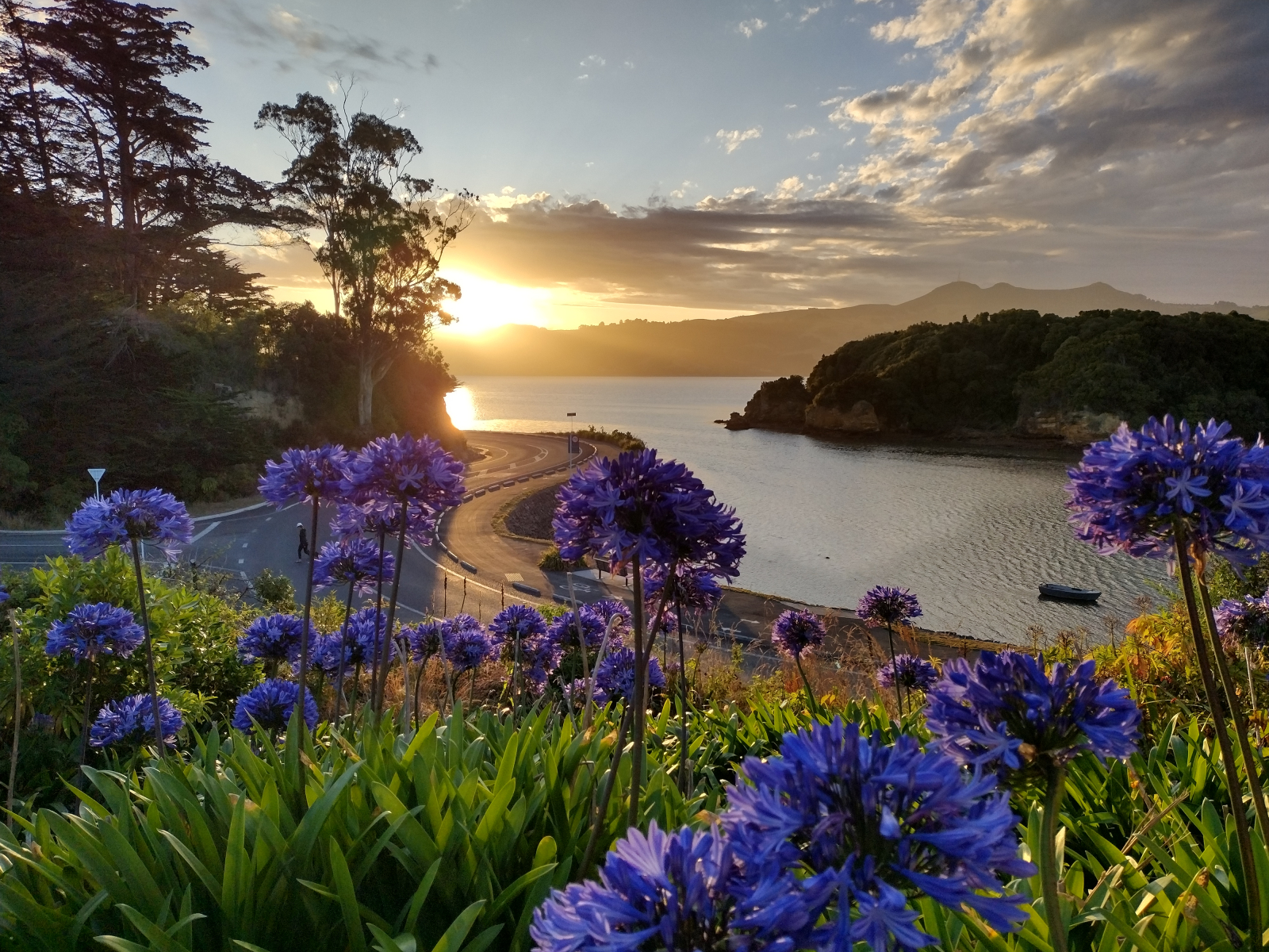 Retraite de l’île Pudding... Beauté de l’île du Sud