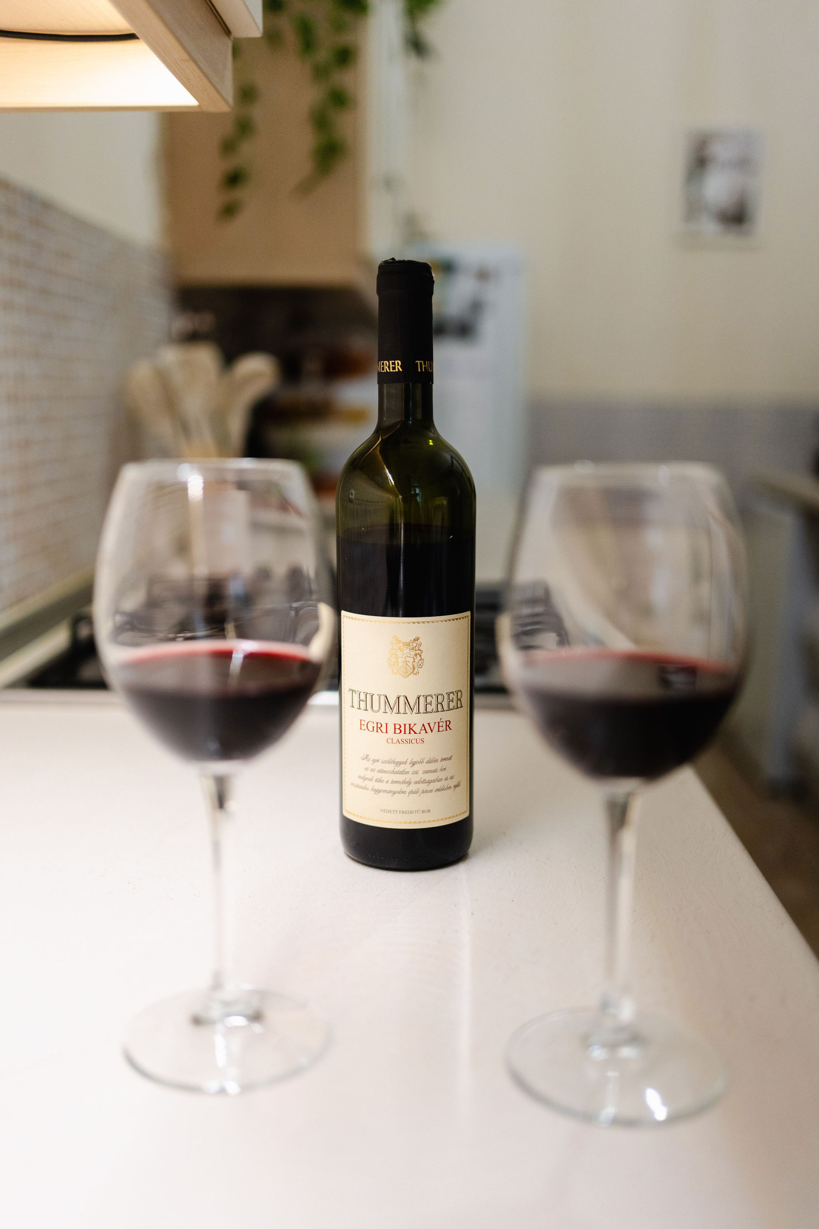 Downtown, Budapest - Centrally located with everything you want in Walking Distance!