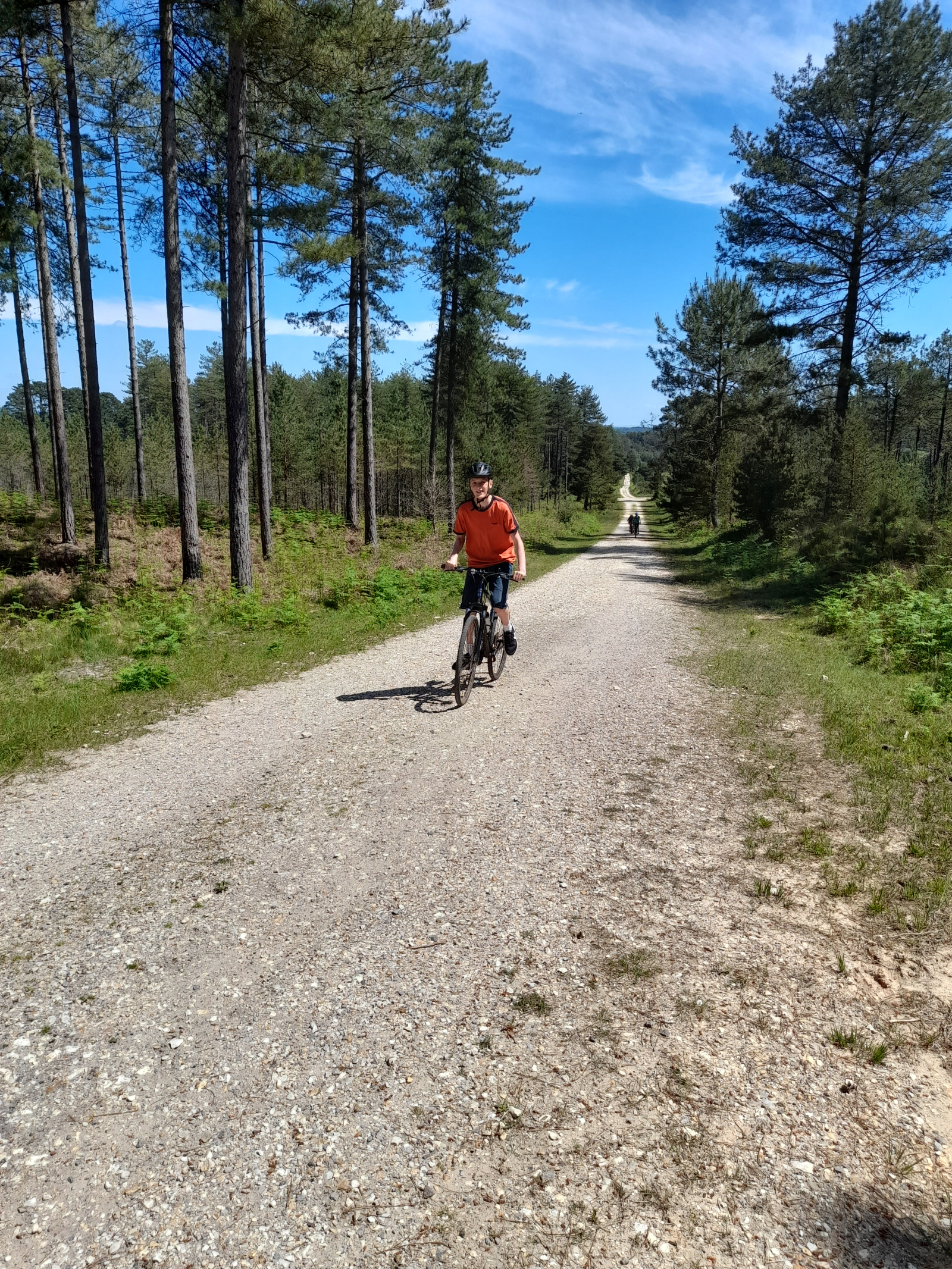 Multiple bike tracks through Purbecks and New Forest
