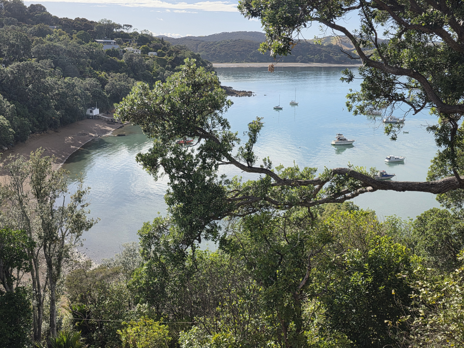 View from the living room