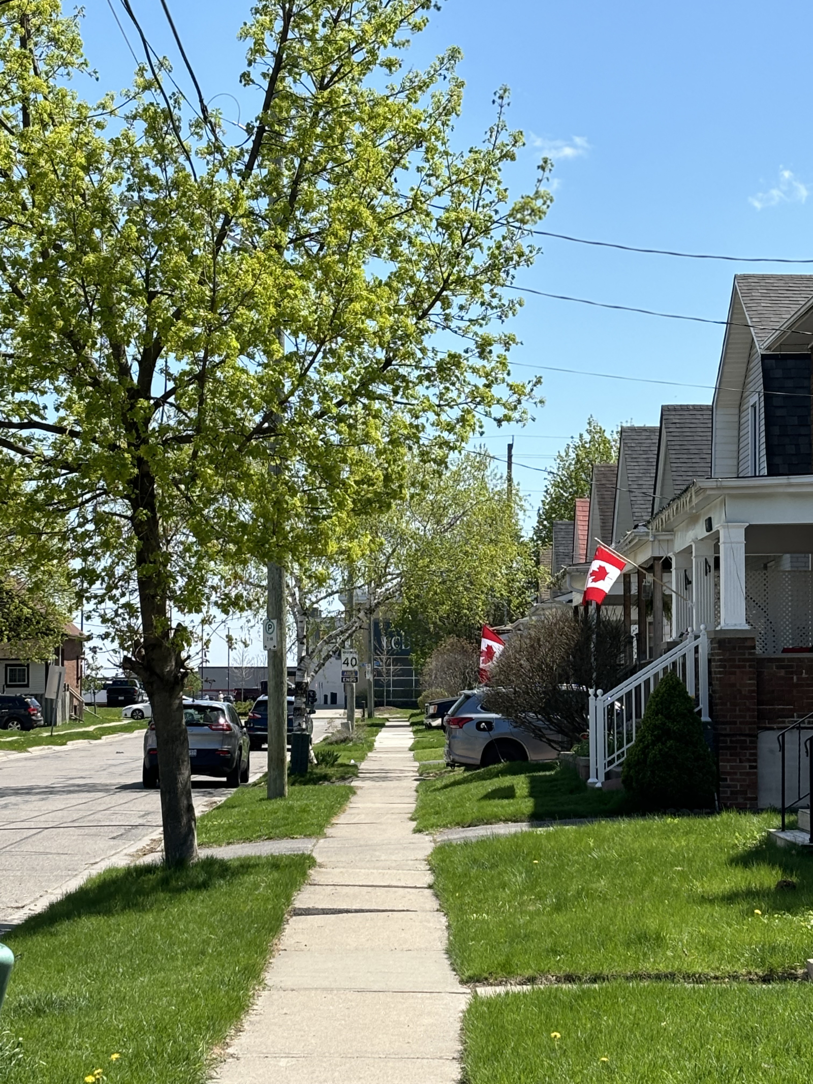 Nuestra calle tranquila