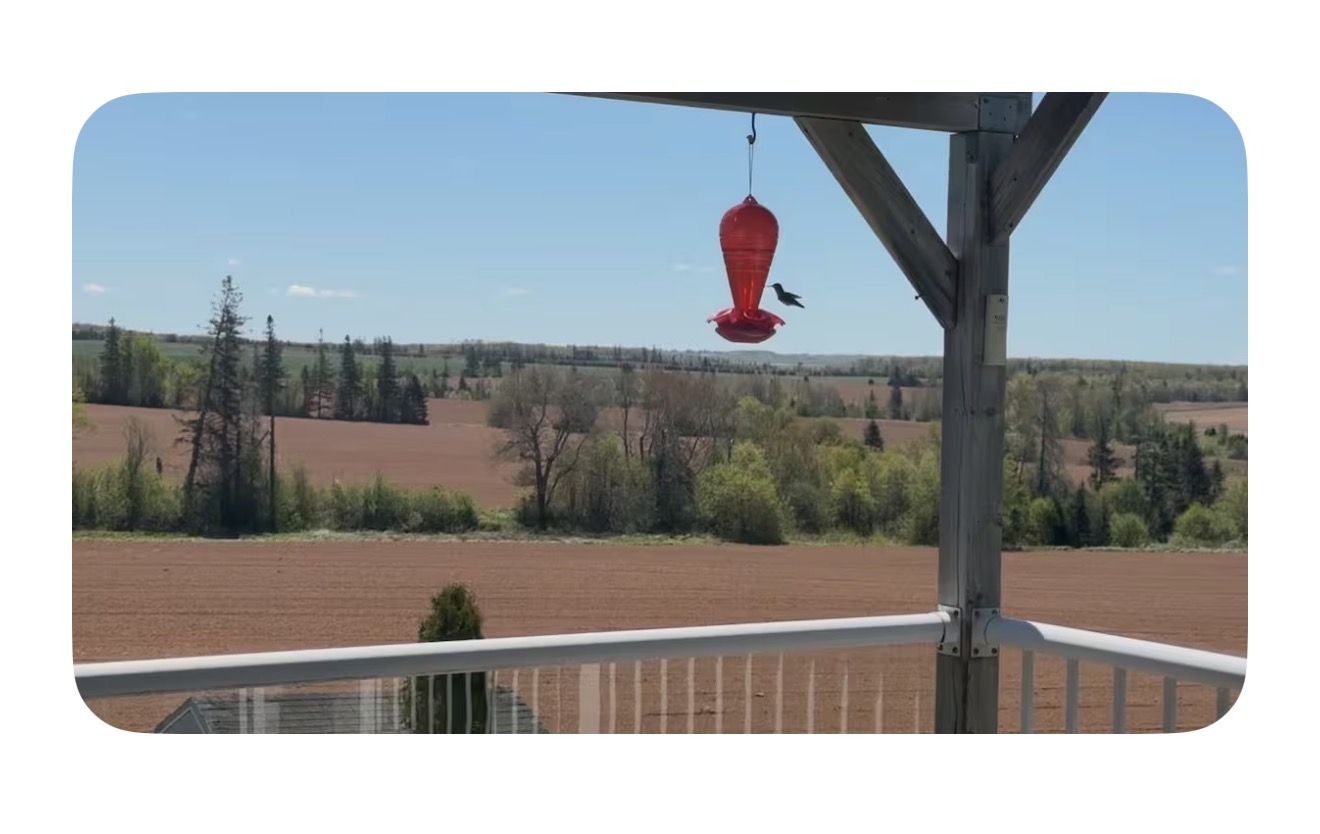 Bezoek Canada's kleinste provincie 🇨🇦 — een gezellig uitje in PEI
