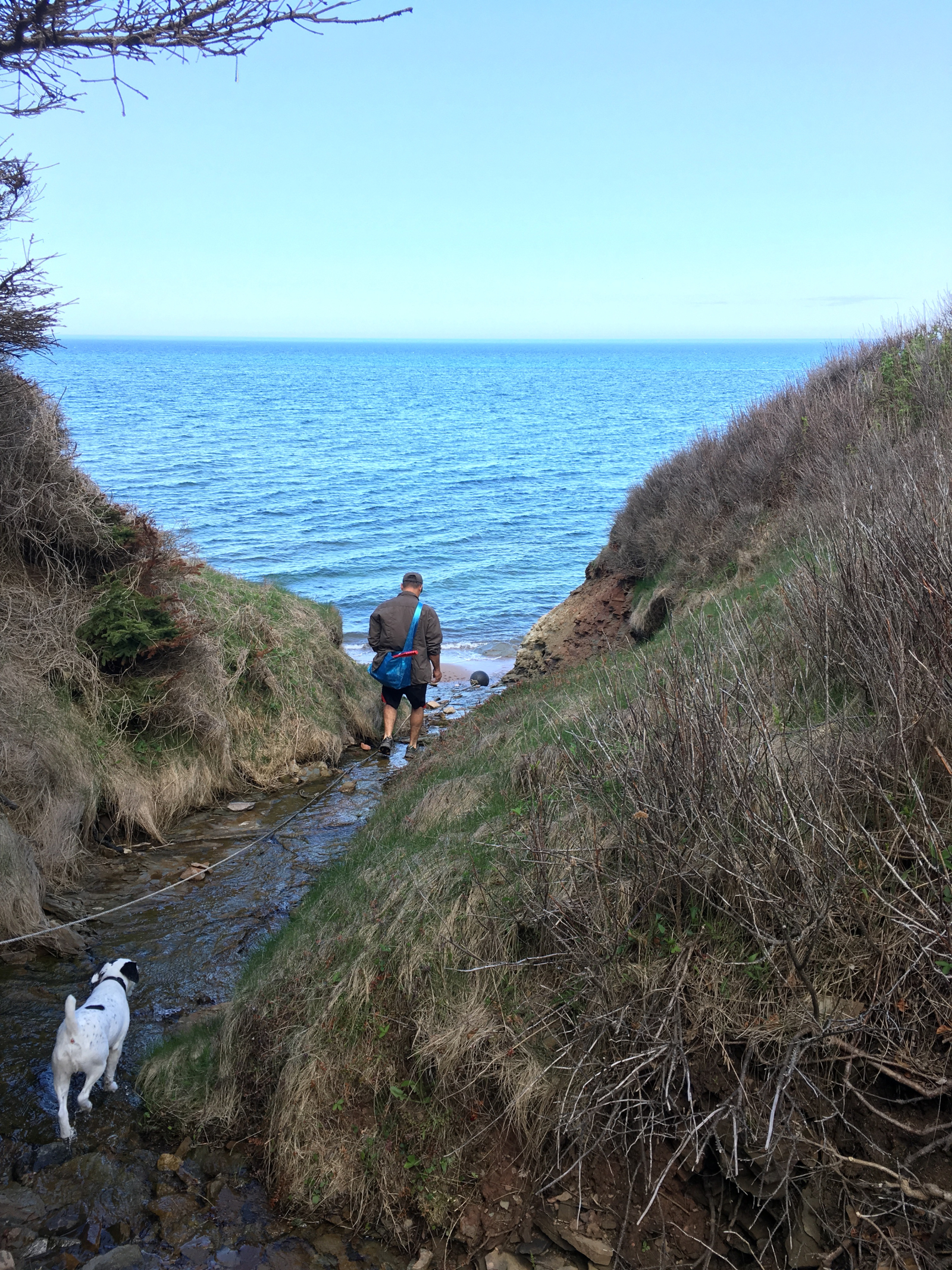 Brook access to our beach (for the physically able)