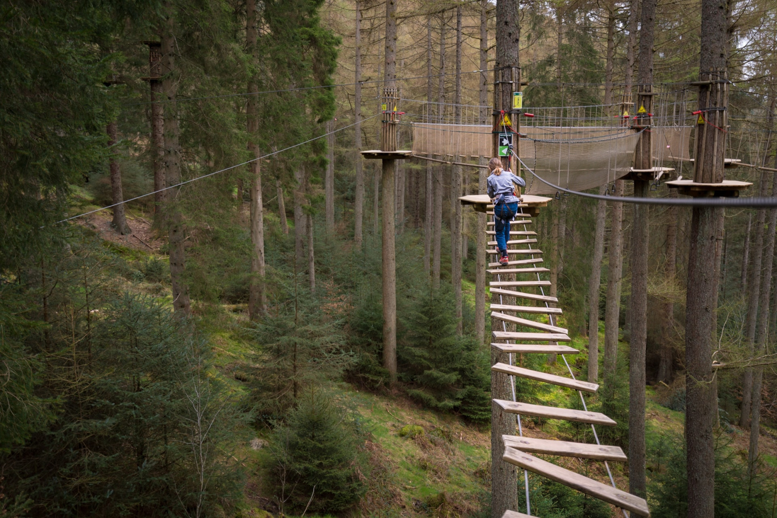 Go Ape em Aberfoyle
