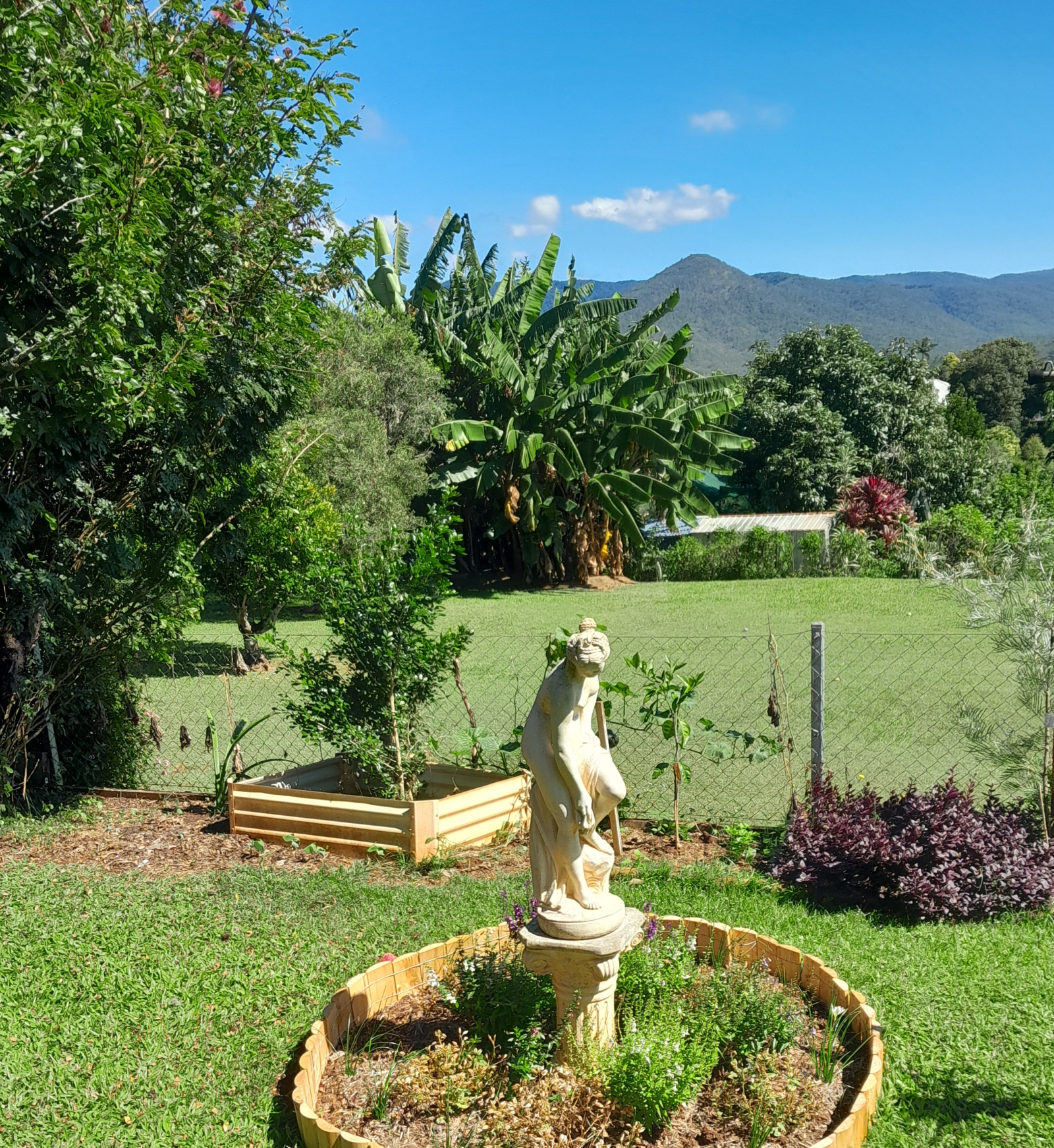 View from the back garden