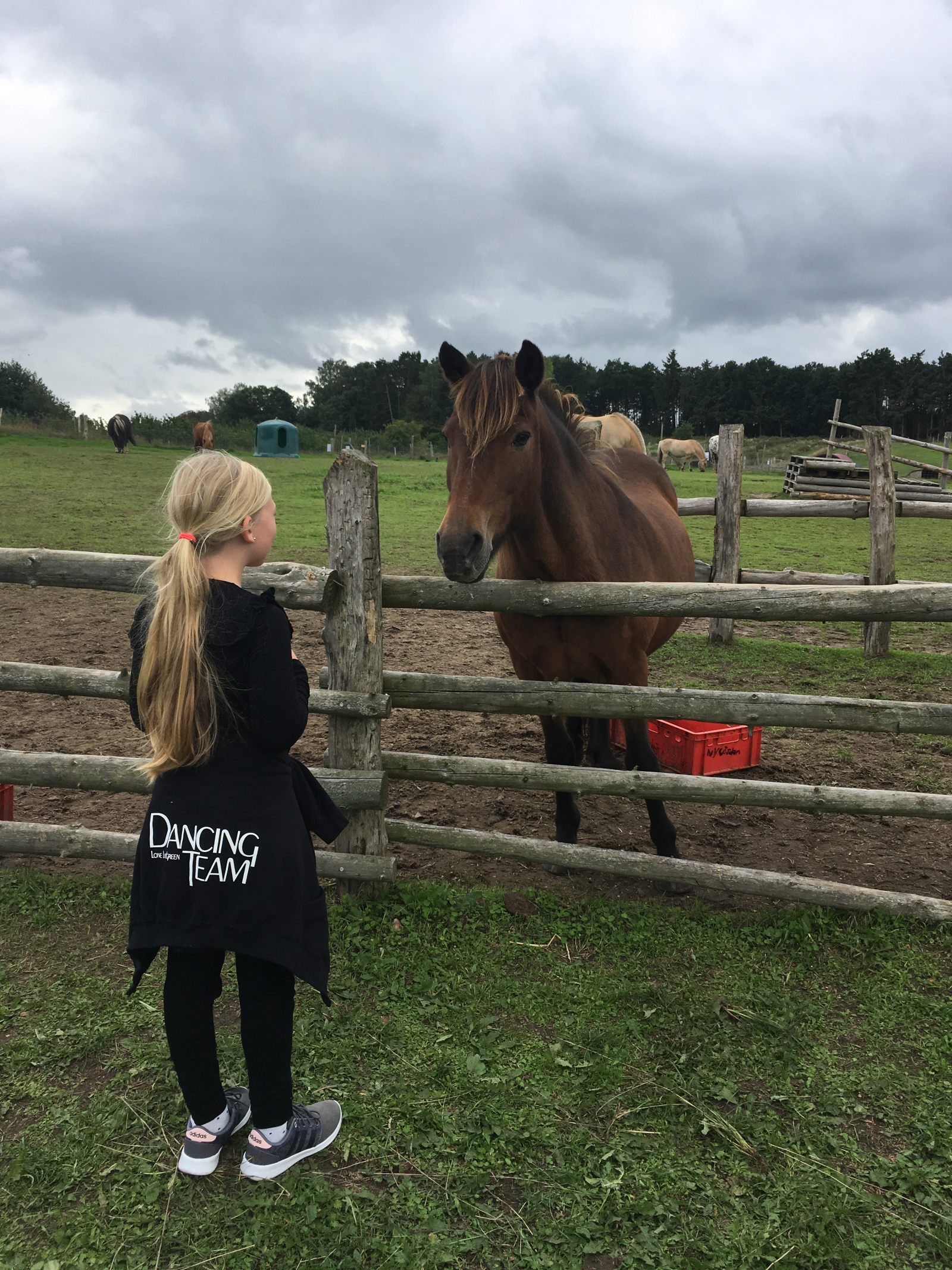 La tienda de regalos Café y el parque infantil llamado Nygaarden.