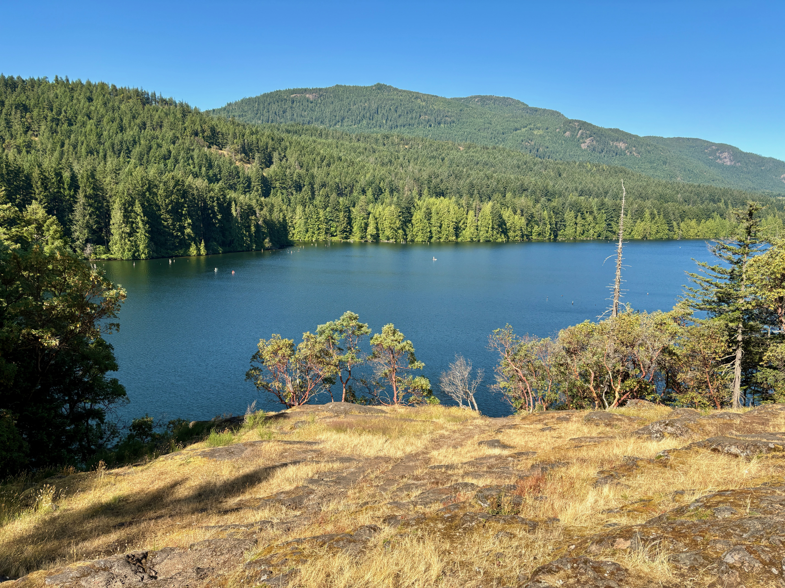 Le scogliere che si affacciano sul lago Westwood si trovano a 5 minuti a piedi dalla nostra casa.