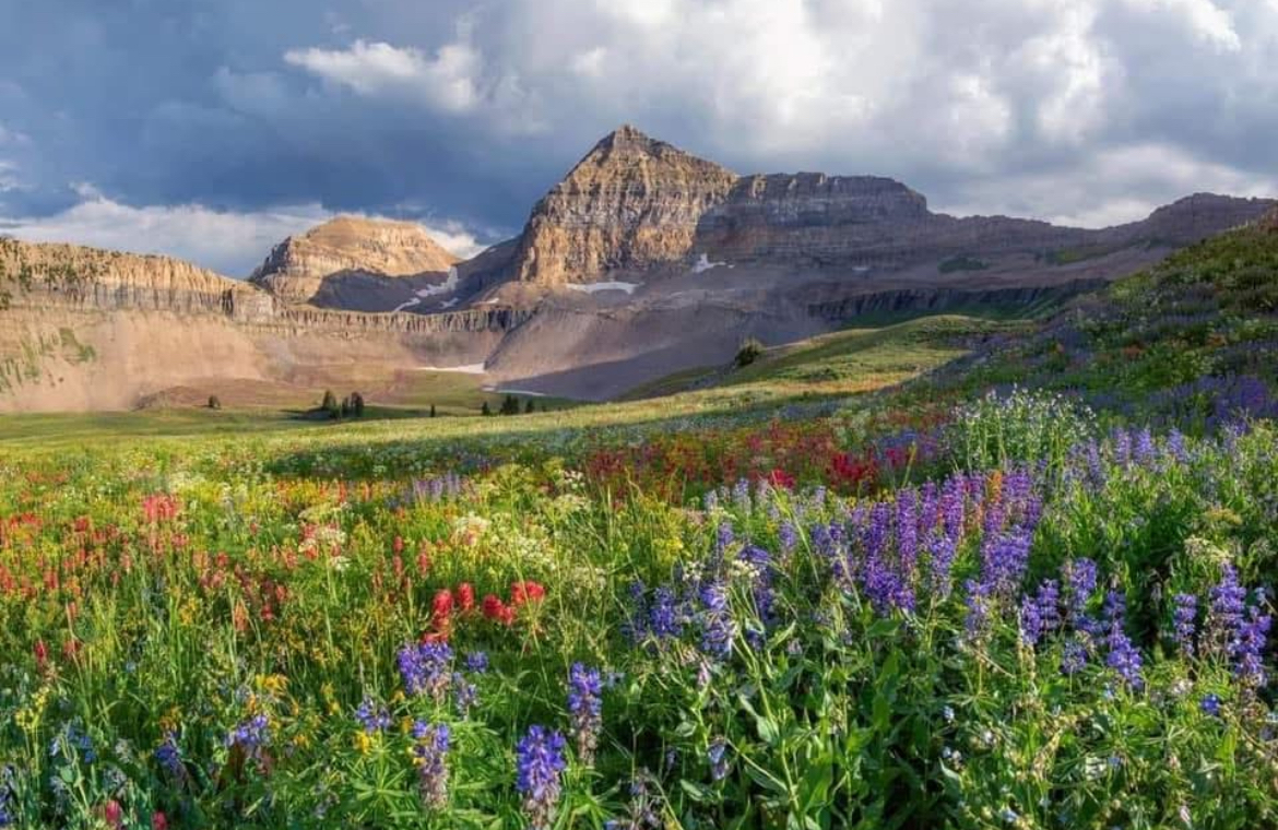 Views hiking Mount Timp. Trail head 40 minutes away.