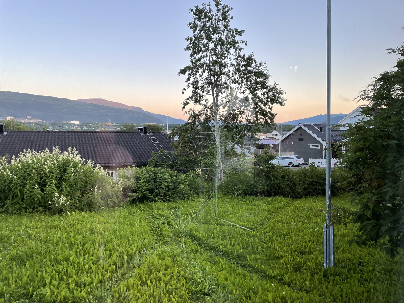 Uma noite tranquila de verão no jardim...