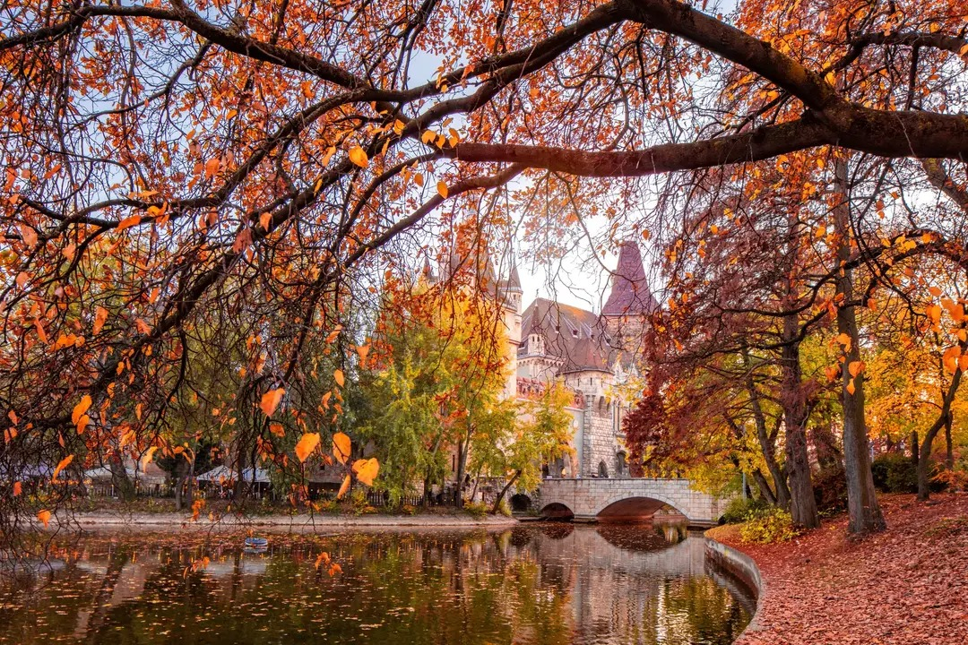 Downtown, Budapest - Centrally located with everything you want in Walking Distance!