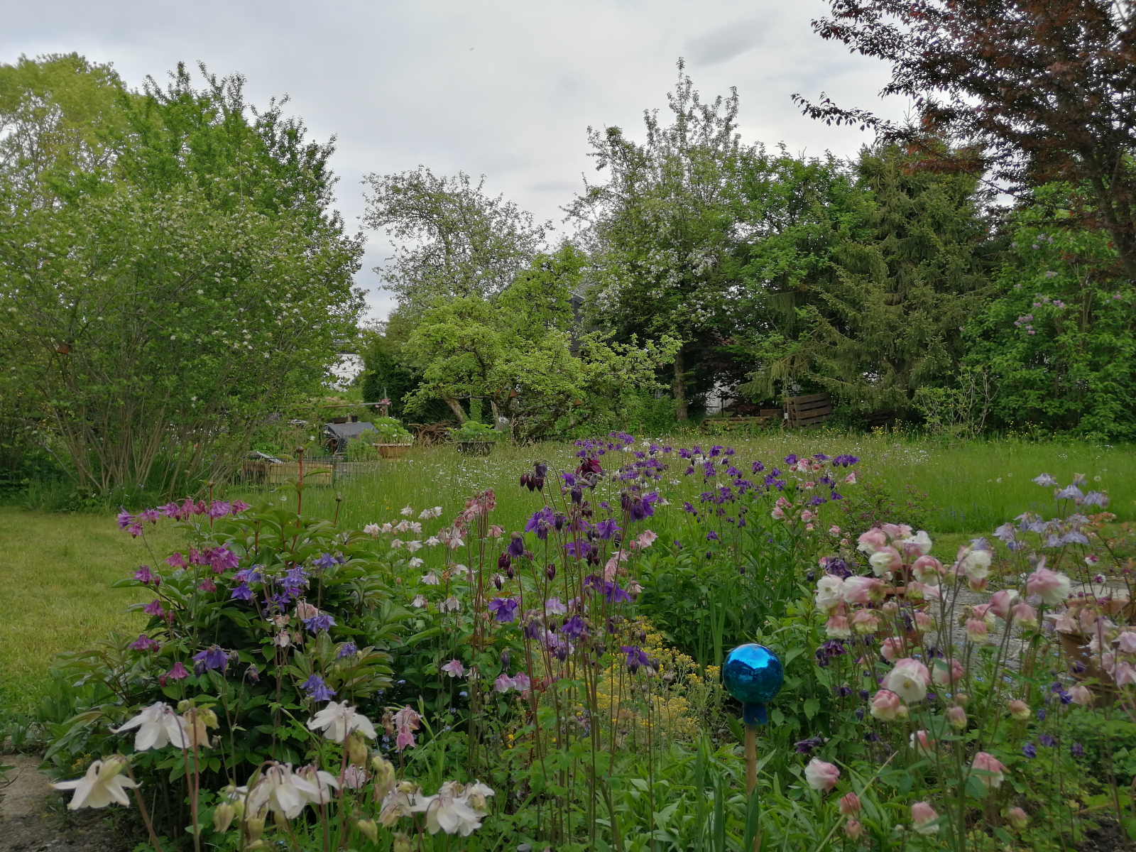 Tuin