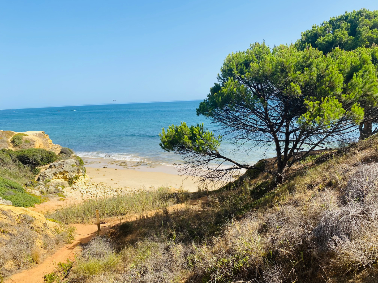 Your own deserted beach nearby (when the tide is low - which lasts many hours)