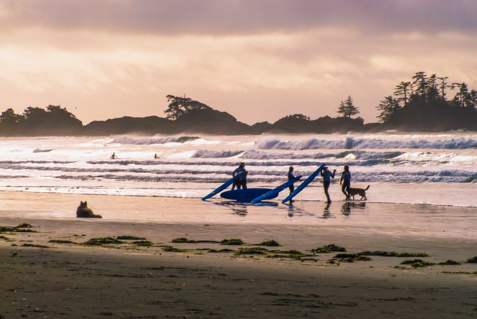 Surfisti sulla costa occidentale dell'isola di Vancouver vicino a Tofino (2,5 ore di auto da Nanaimo ...