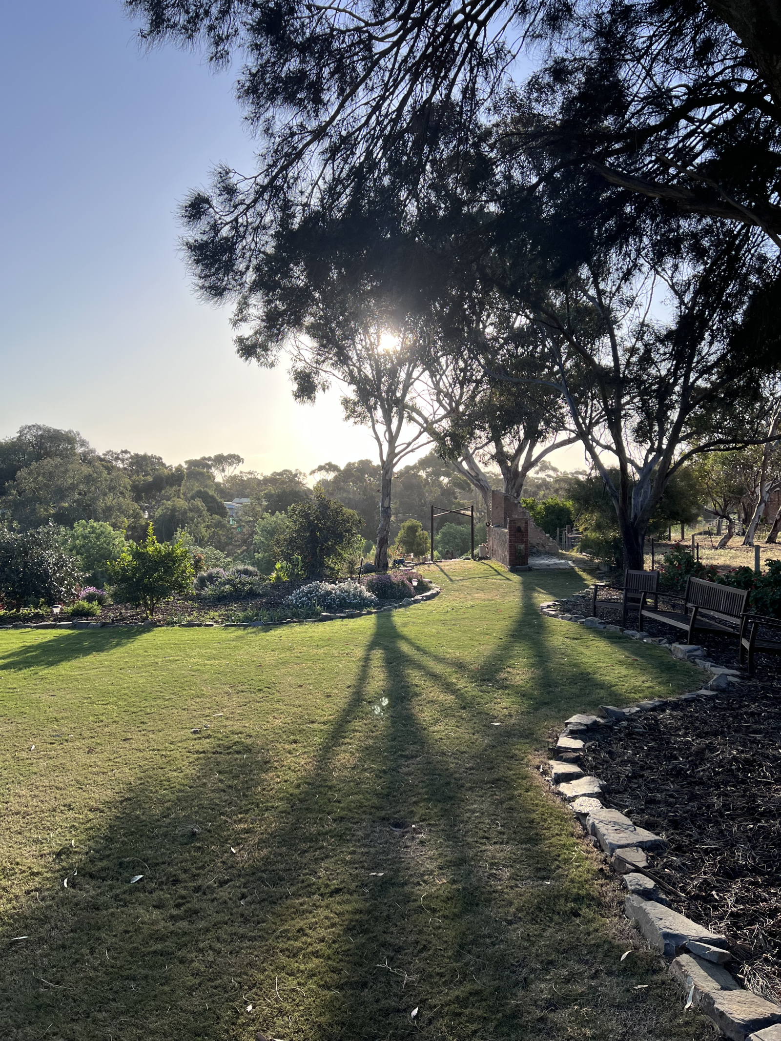 Notre jardin magnifiquement aménagé