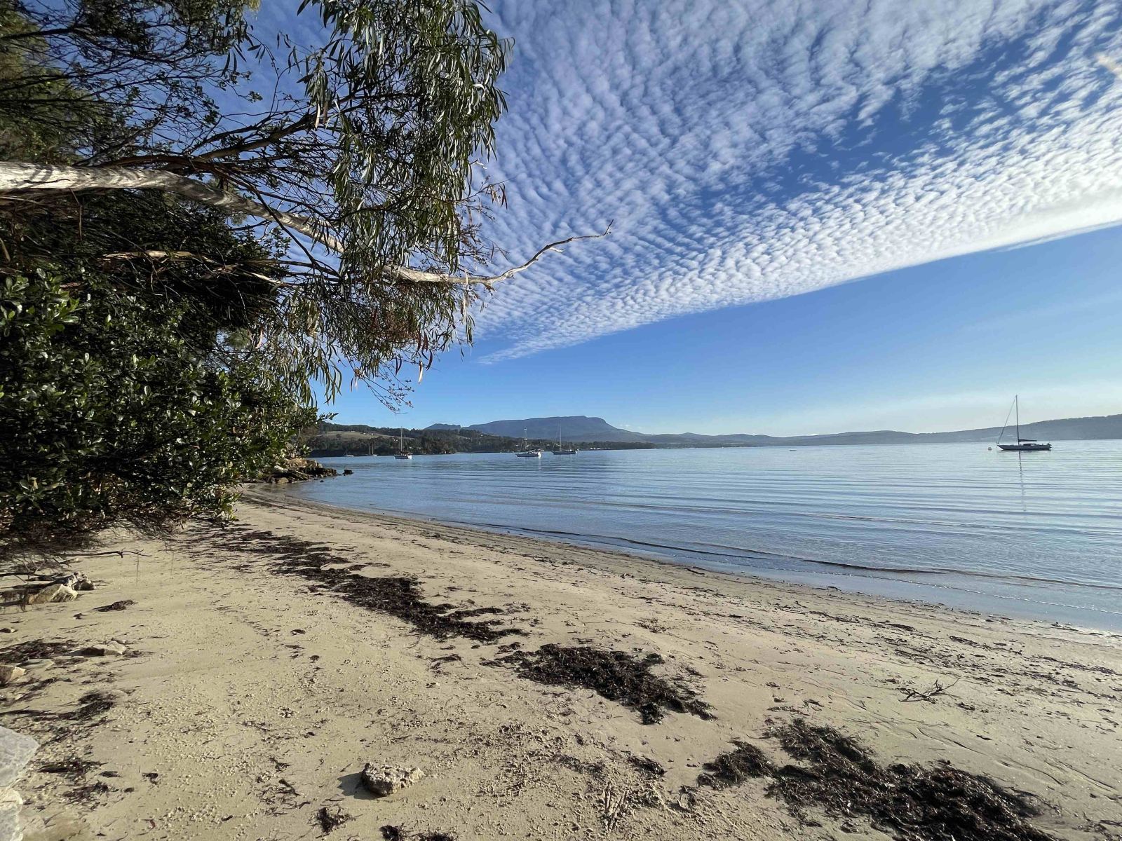 la plage locale donnant sur kunanyi (mont Wellington)