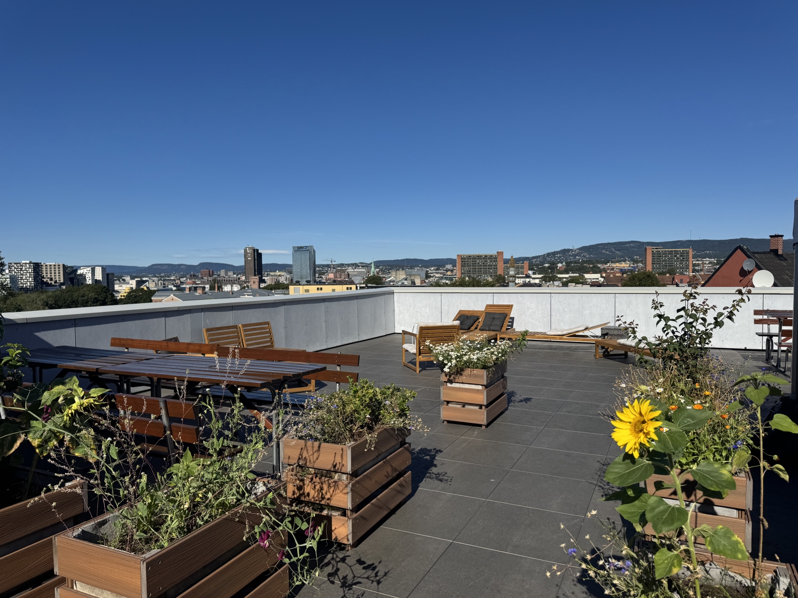 Gemütliches Apartment und atemberaubende Aussicht in der Altstadt von Oslo