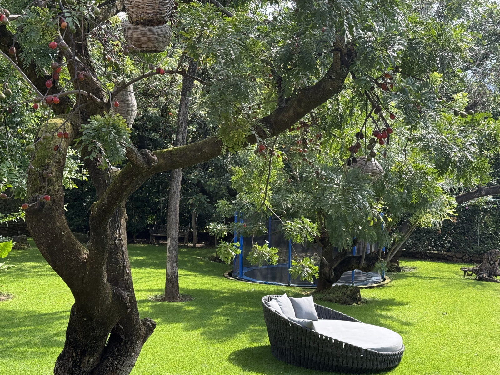 Clima ideal todo el año ! La tranquilidad del jardín para leer o descansar