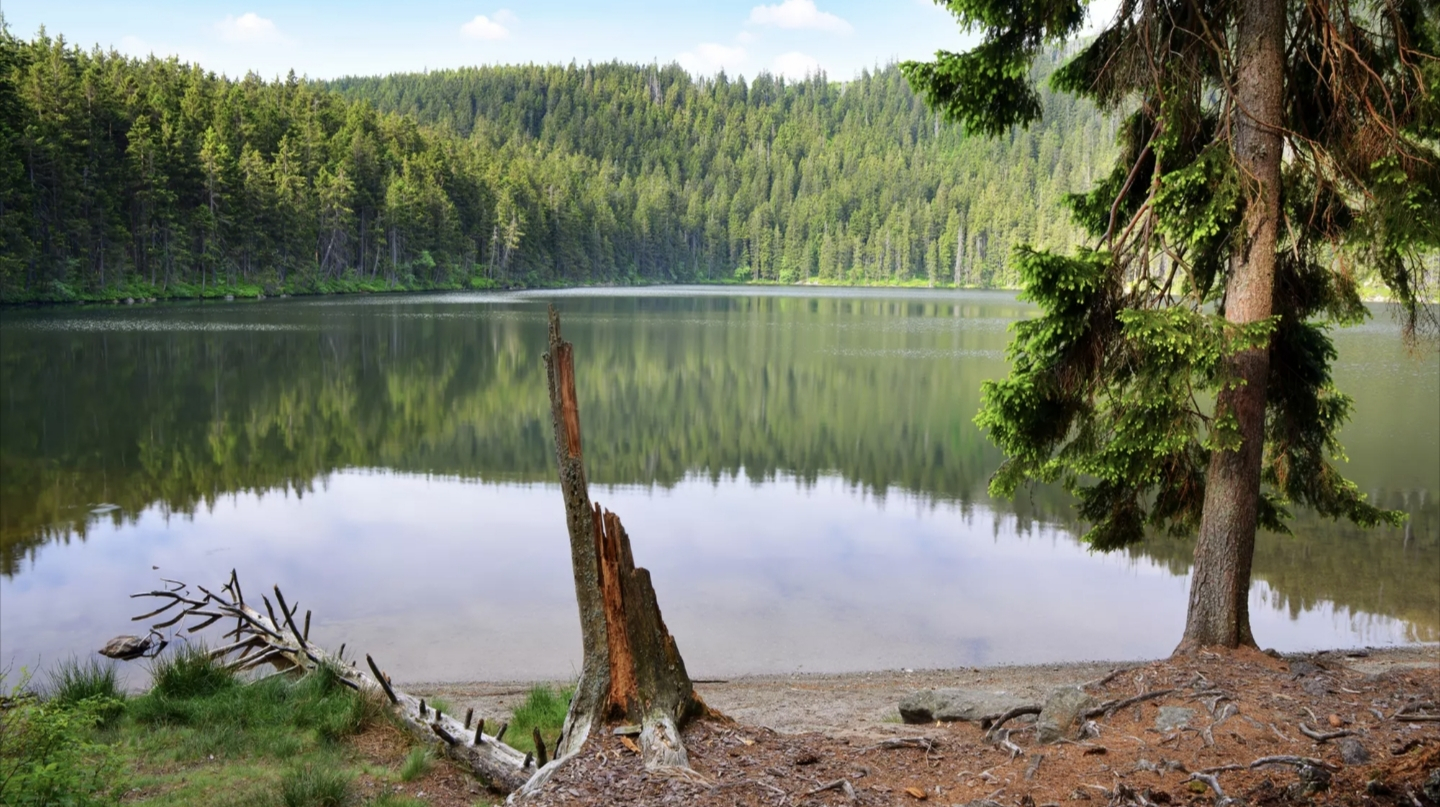 Accommodatie in het Nationaal Park Šumava