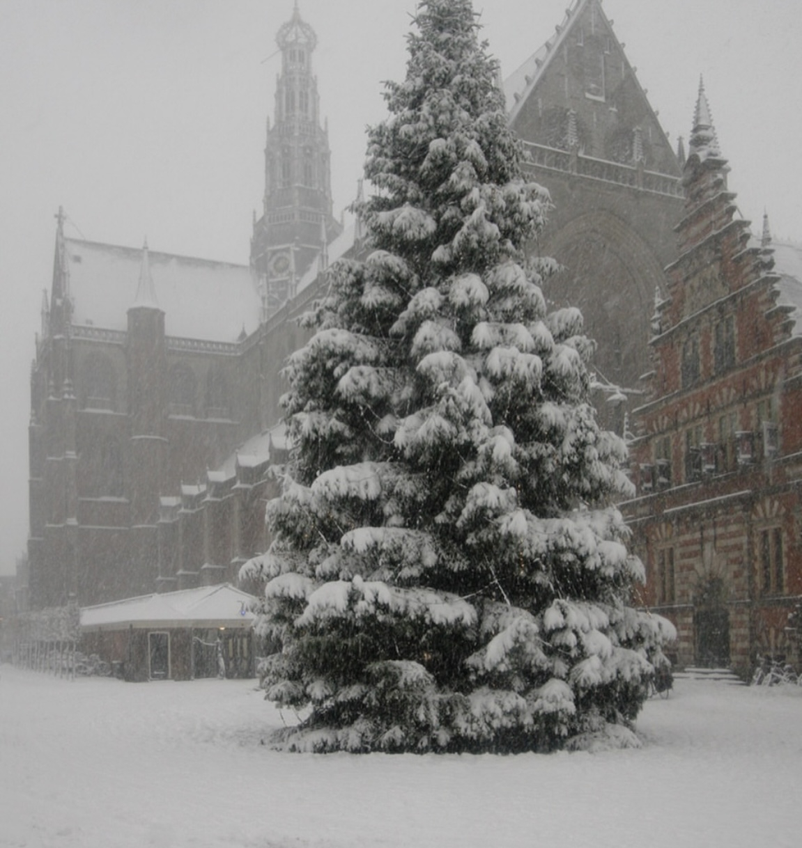 De Grote Markt in het centrum van Haarlem is bedekt met sneeuw ⛄️