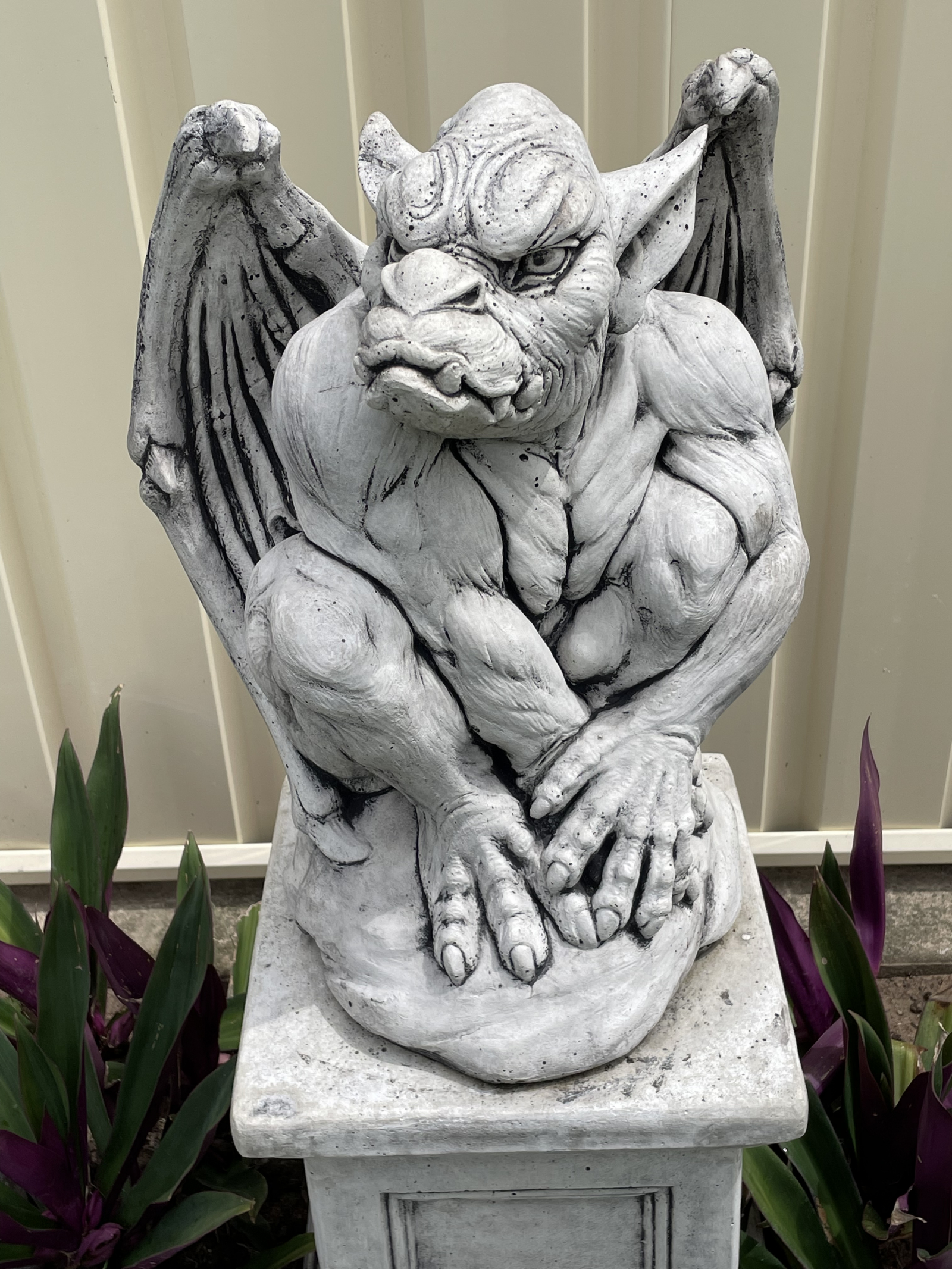 Quasimodo the Gargoyle. He protects the house and everyone living here. 😊