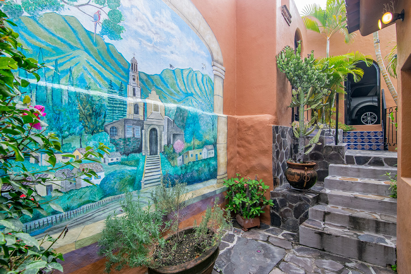 Vista da janela da nossa cozinha