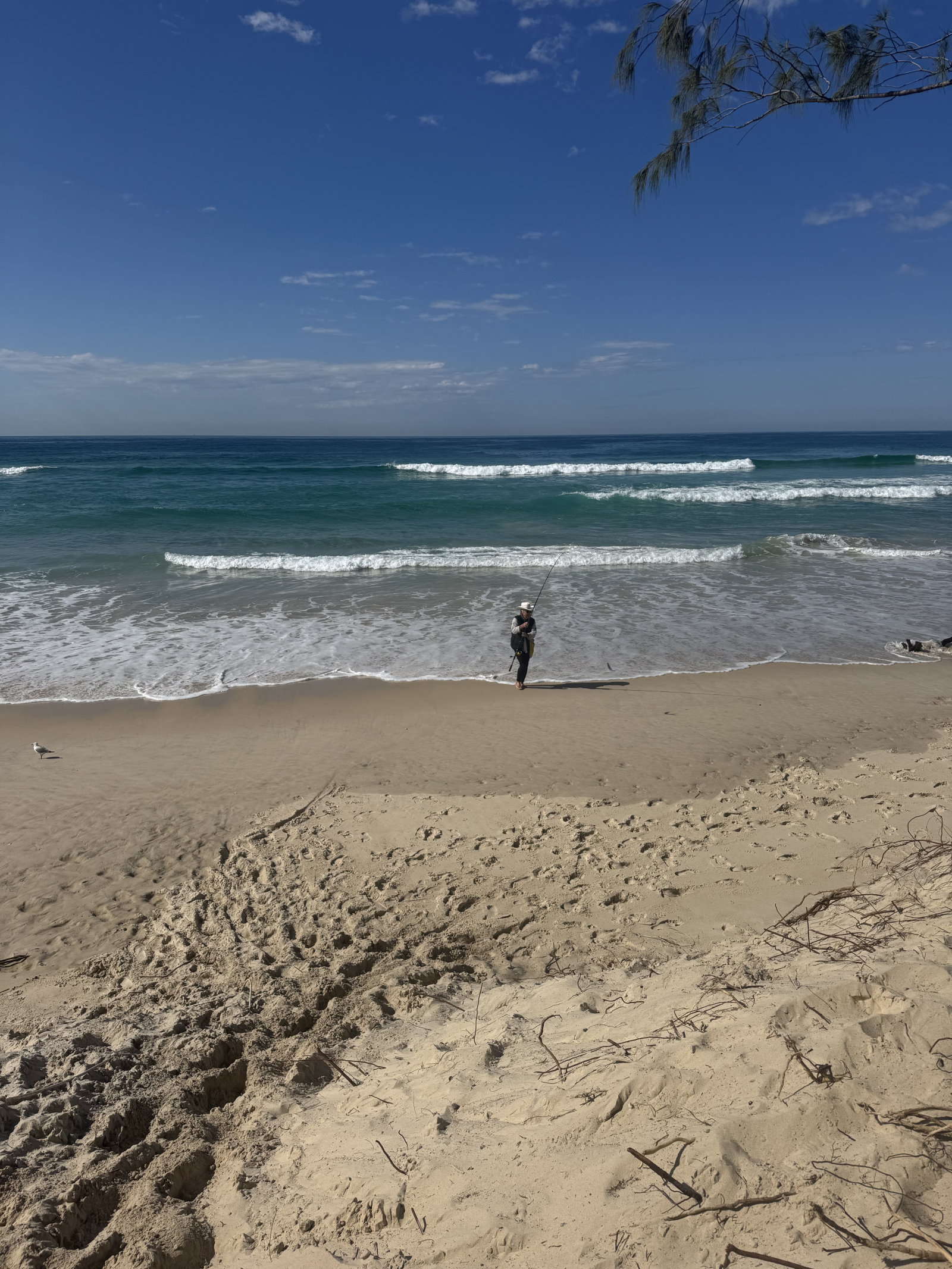 Strand, Bach, Pool, Berge – Im Norden von NSW, Australien, eine große Auswahl
