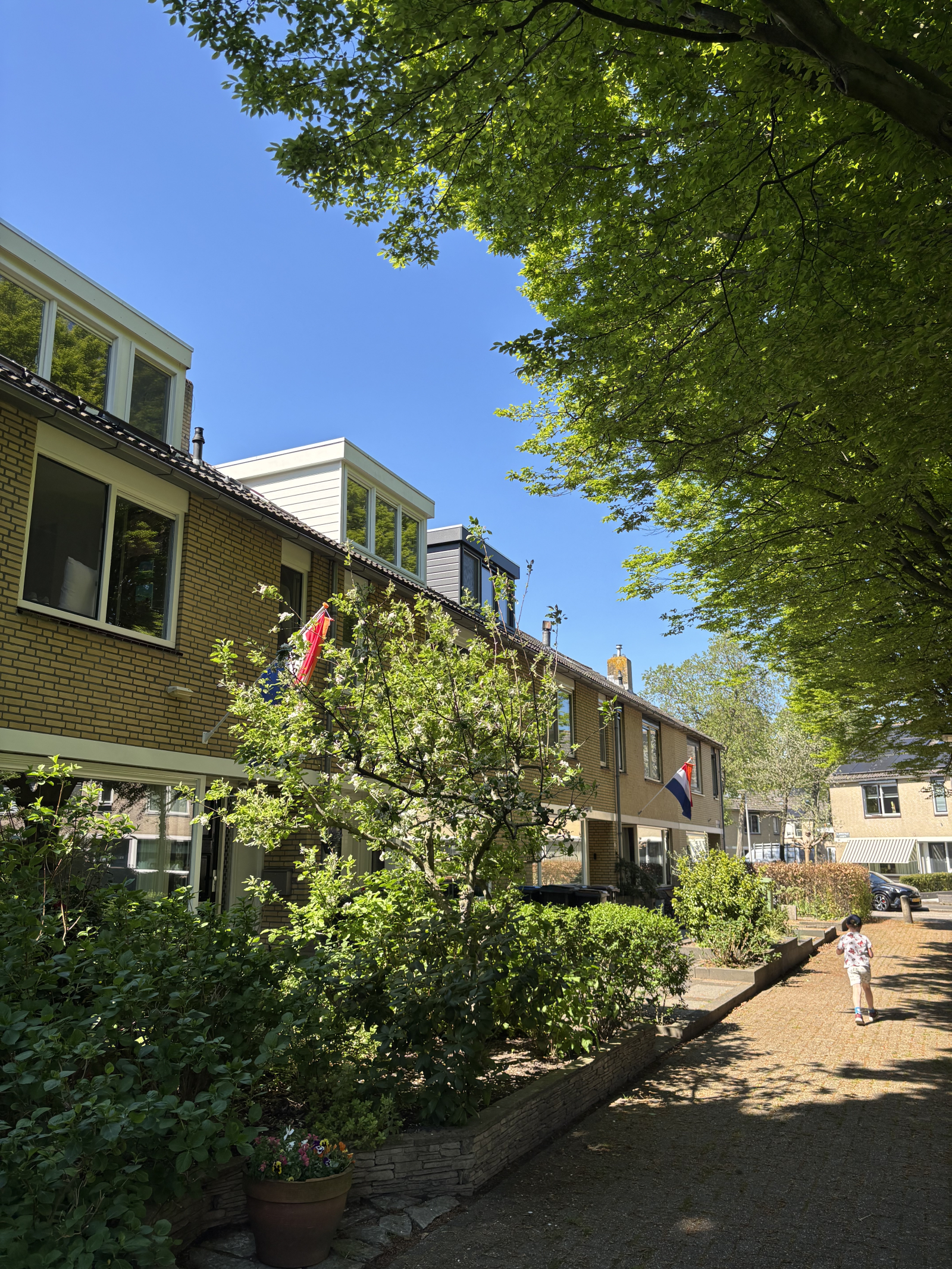 Our row (ours is on the far end in this picture)