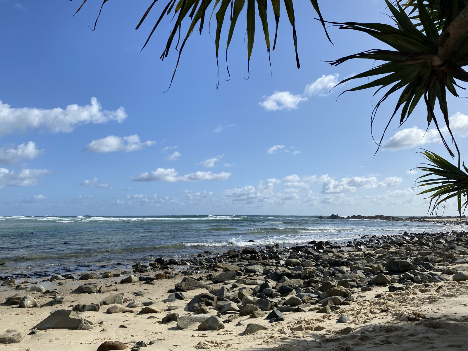 Hastings Point, another gorgeous creek and beach close to our house.
