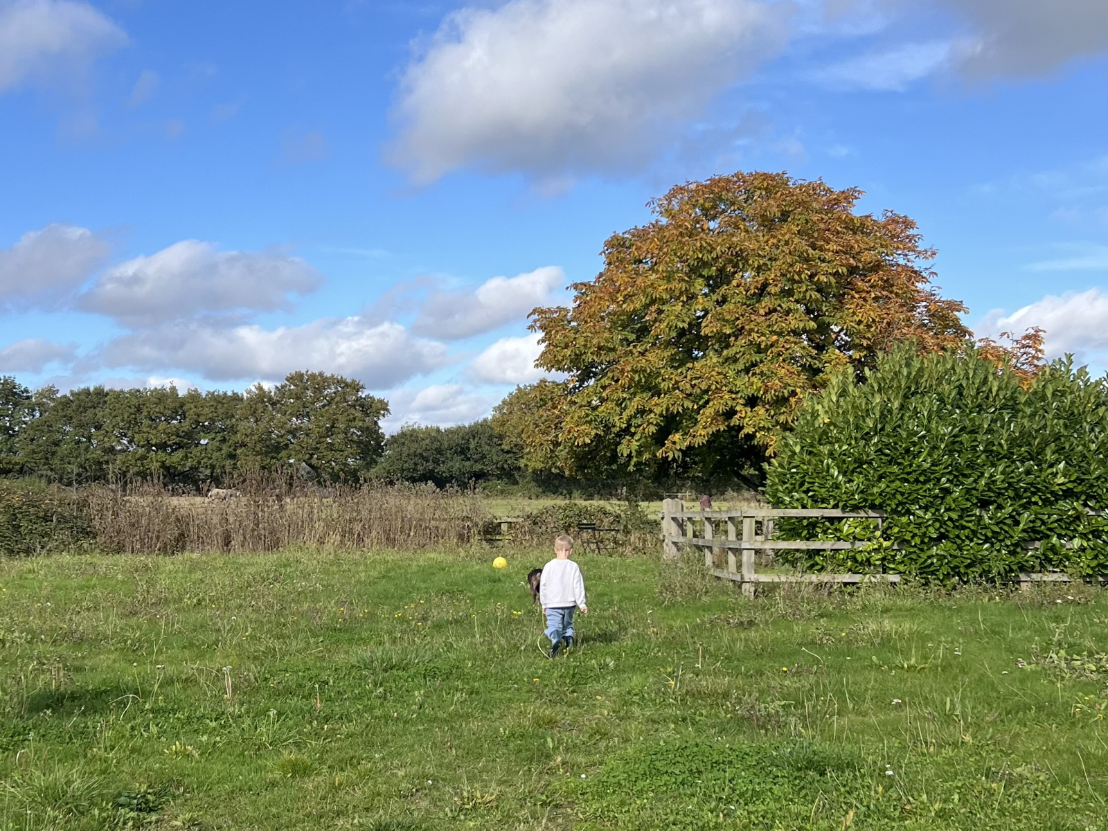 Il prato comunale, con vista sui vicini campi del Centro Ippico e l'accesso al sentiero pedonale con ...